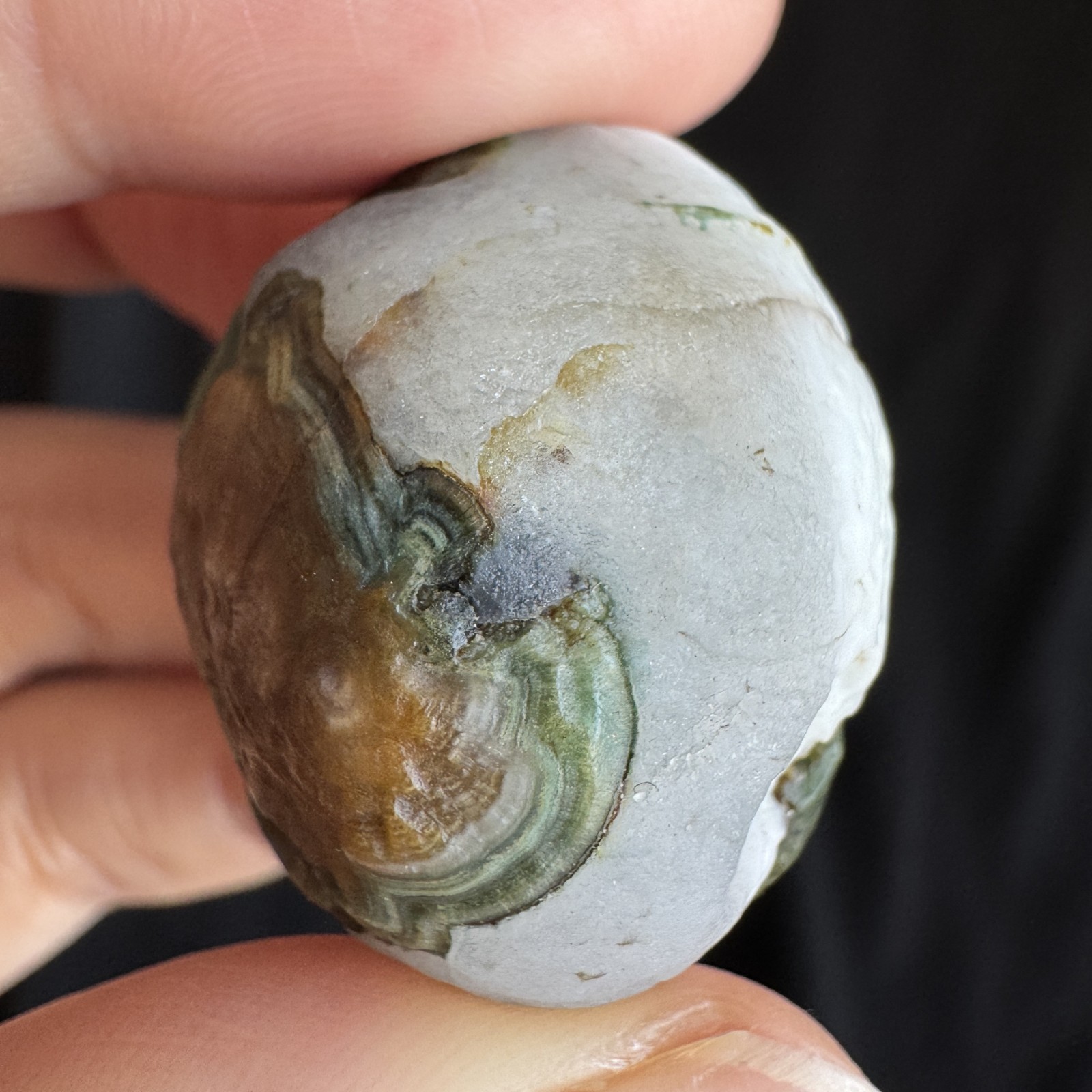 3.1cm/28.2g Natural Big Alxa Gobi Desert Relief Eye Agate,Mongolia-1023