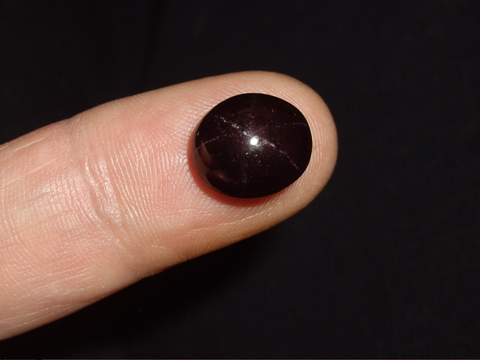Star Garnet Polished Cabochon, 7.8cts