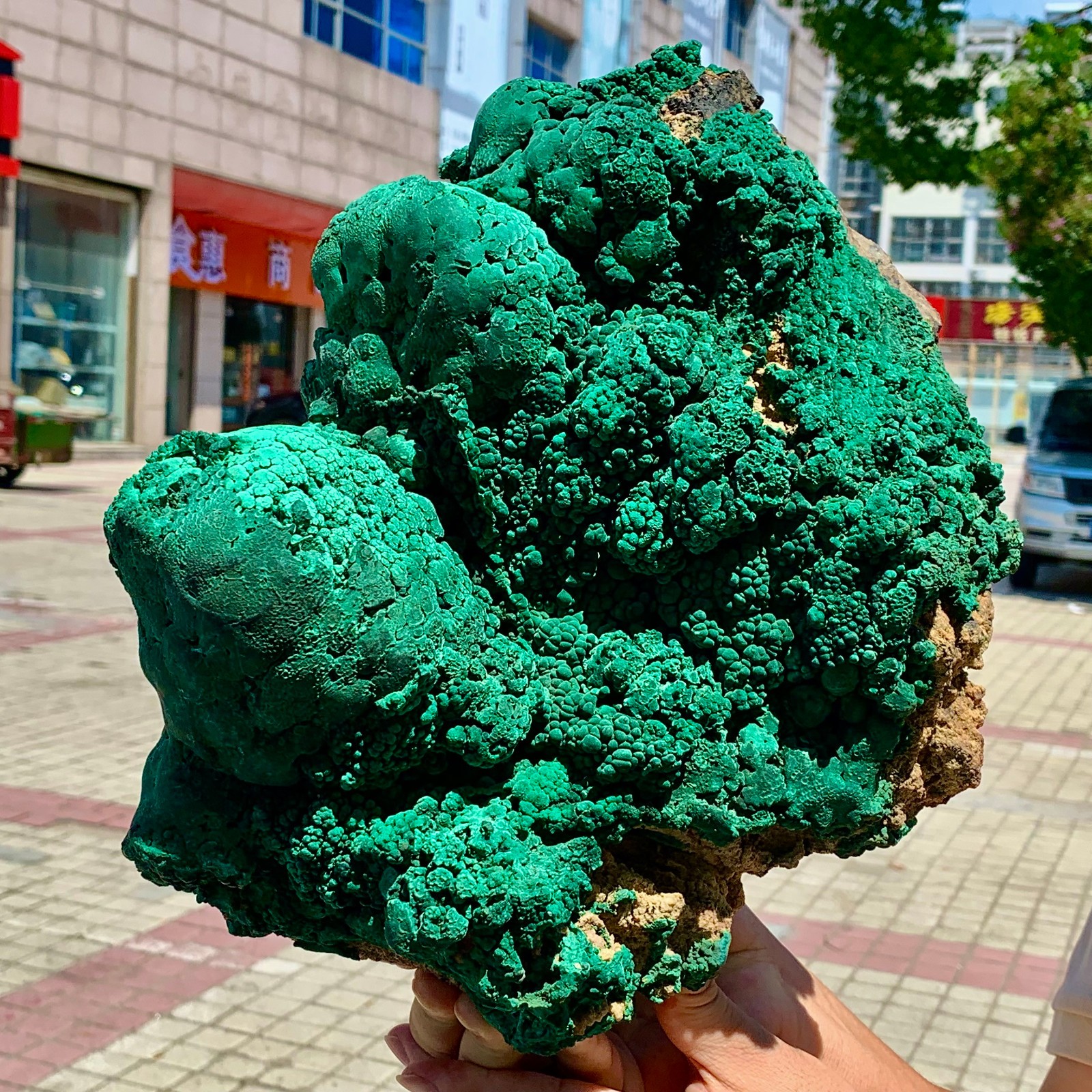 17.82LB Natural VELVET Malachite cat’s eye specimen crystal mineral-Congo