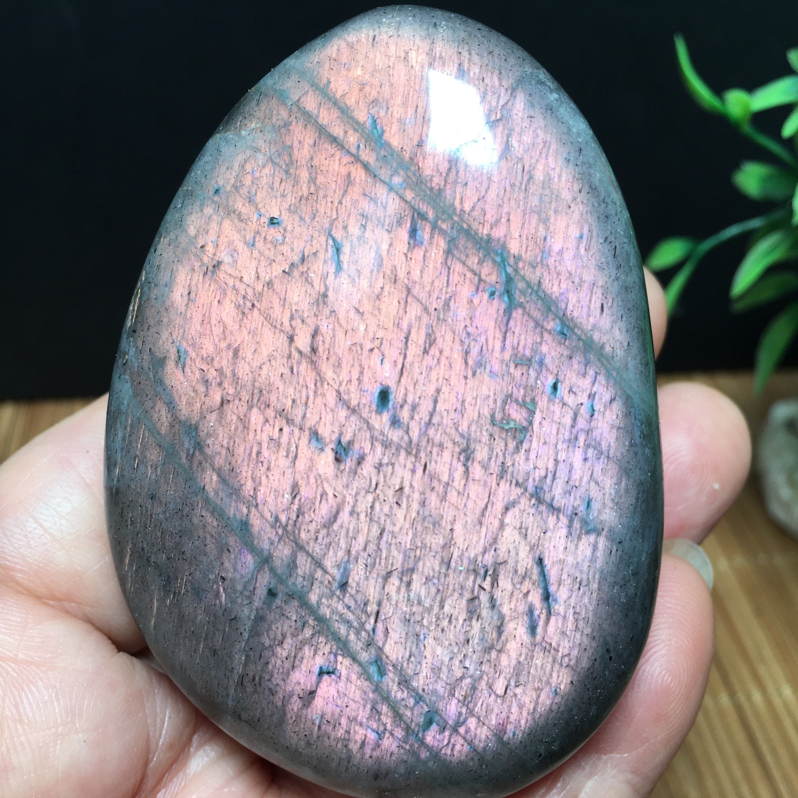 146g Natural Polished Labradorite plamstone Crystal Specimen fb1767