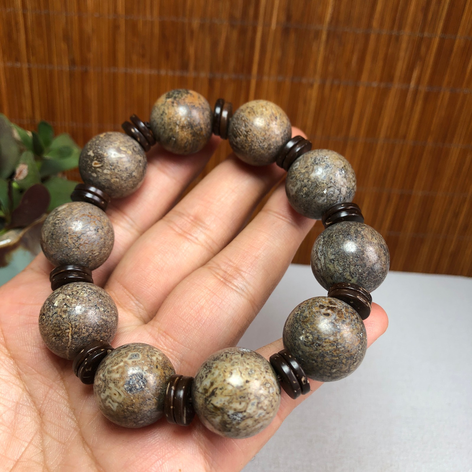 17+mm Natural dinosaur bone gemstone Crystal chain bracelet Specimen 87g A1077