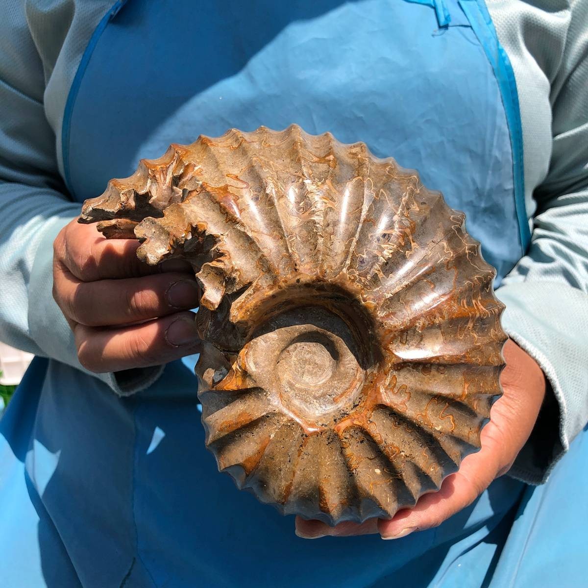 4.04LB Natural Beautiful Ammonite Fossil Conch Crystal Specimen Healing 5395