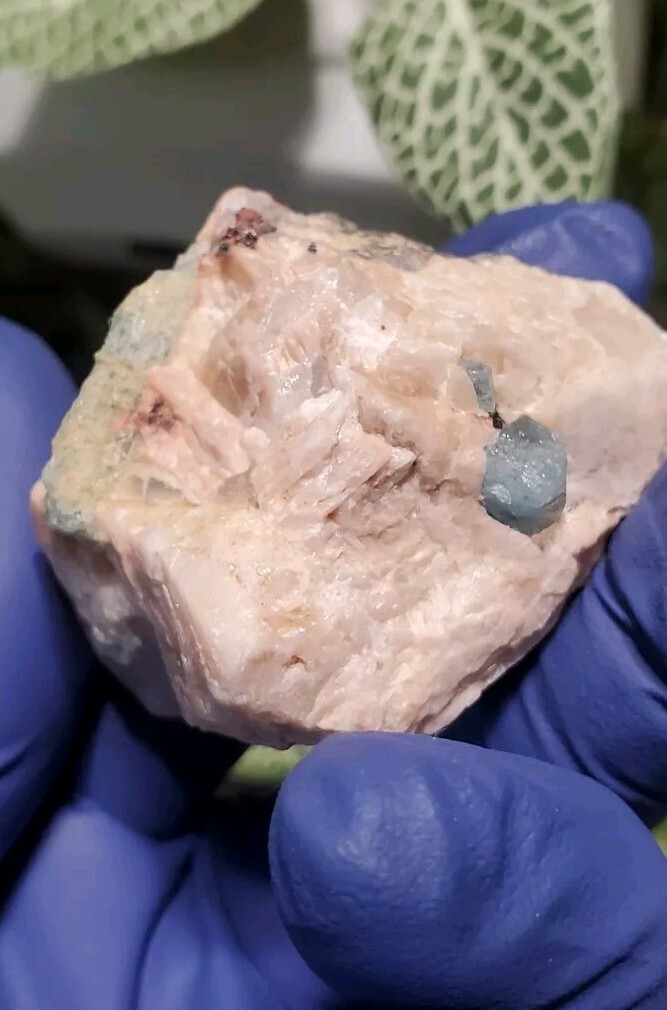 Aquamarine in Feldspar Crystal Specimen 40 grams