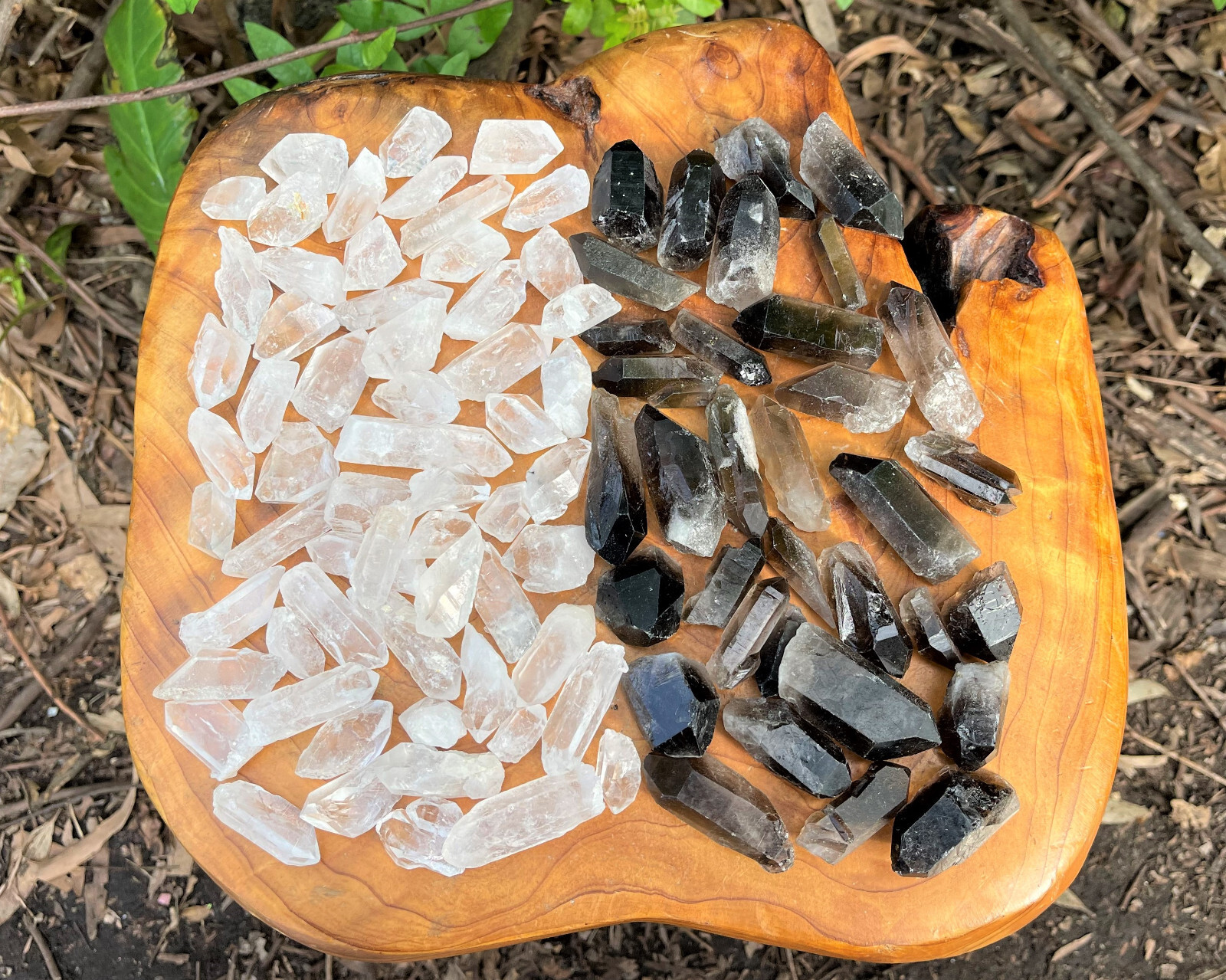 1/2 lb Bulk Wholesale Mixed Smoky & Quartz Crystal Points, Natural Clear Smokey