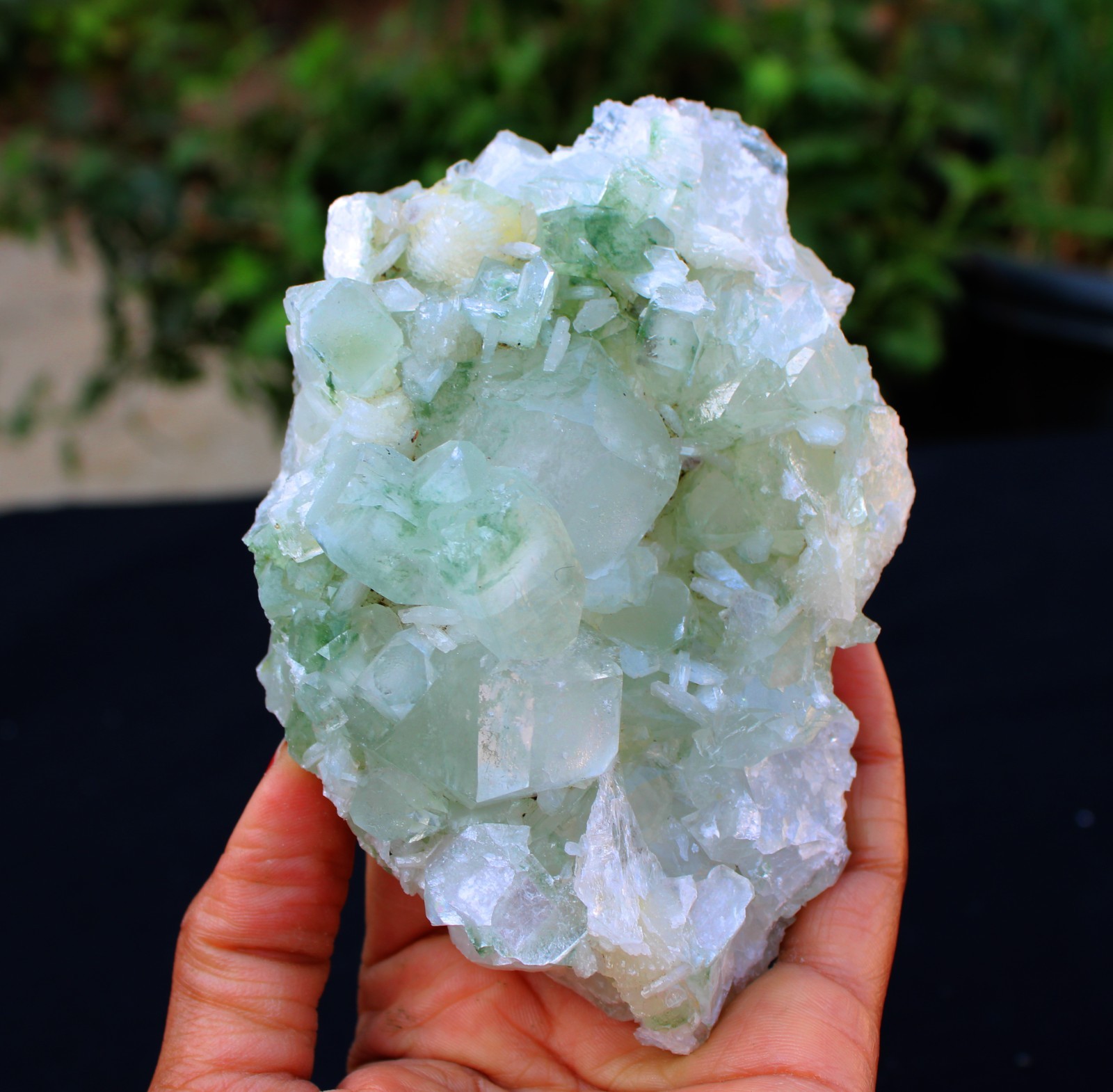 Green Apophyllite Crystals w/ Stilbite Formation Minerals Specimen