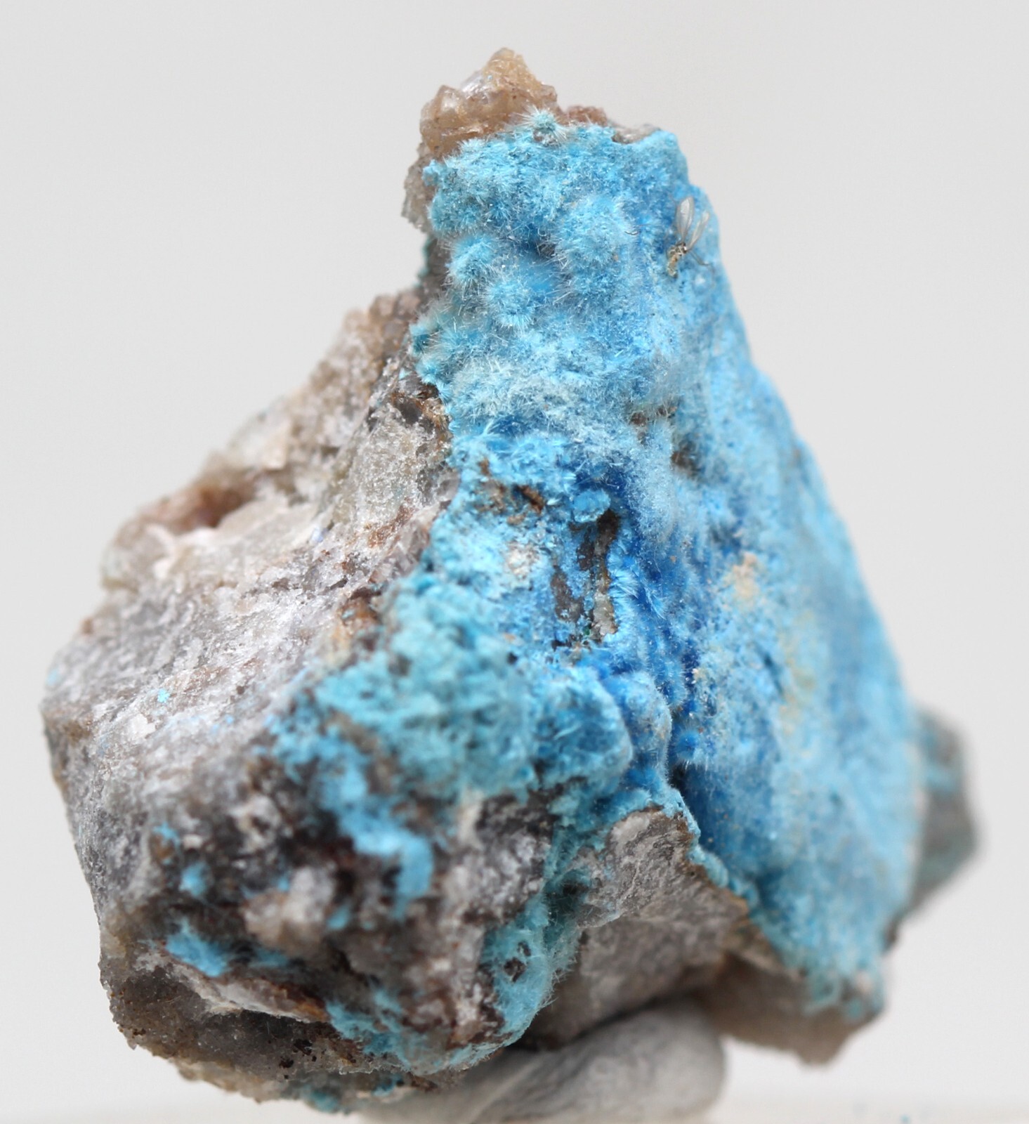 CYANOTRICHITE Crystal Spray Cluster Mineral Specimen GUIZHOU CHINA