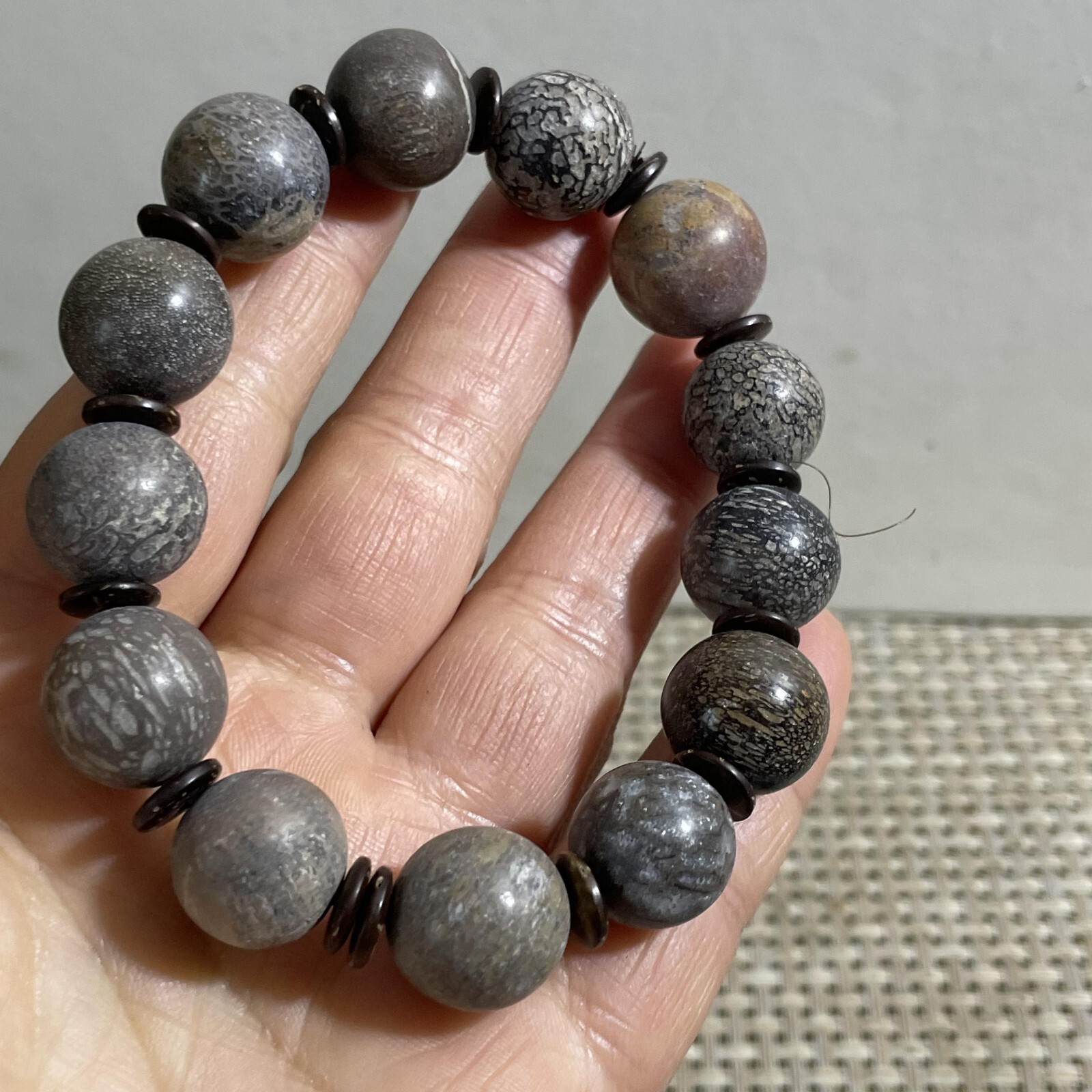 52g 14mm Madagascar polished bone bracelet specimen