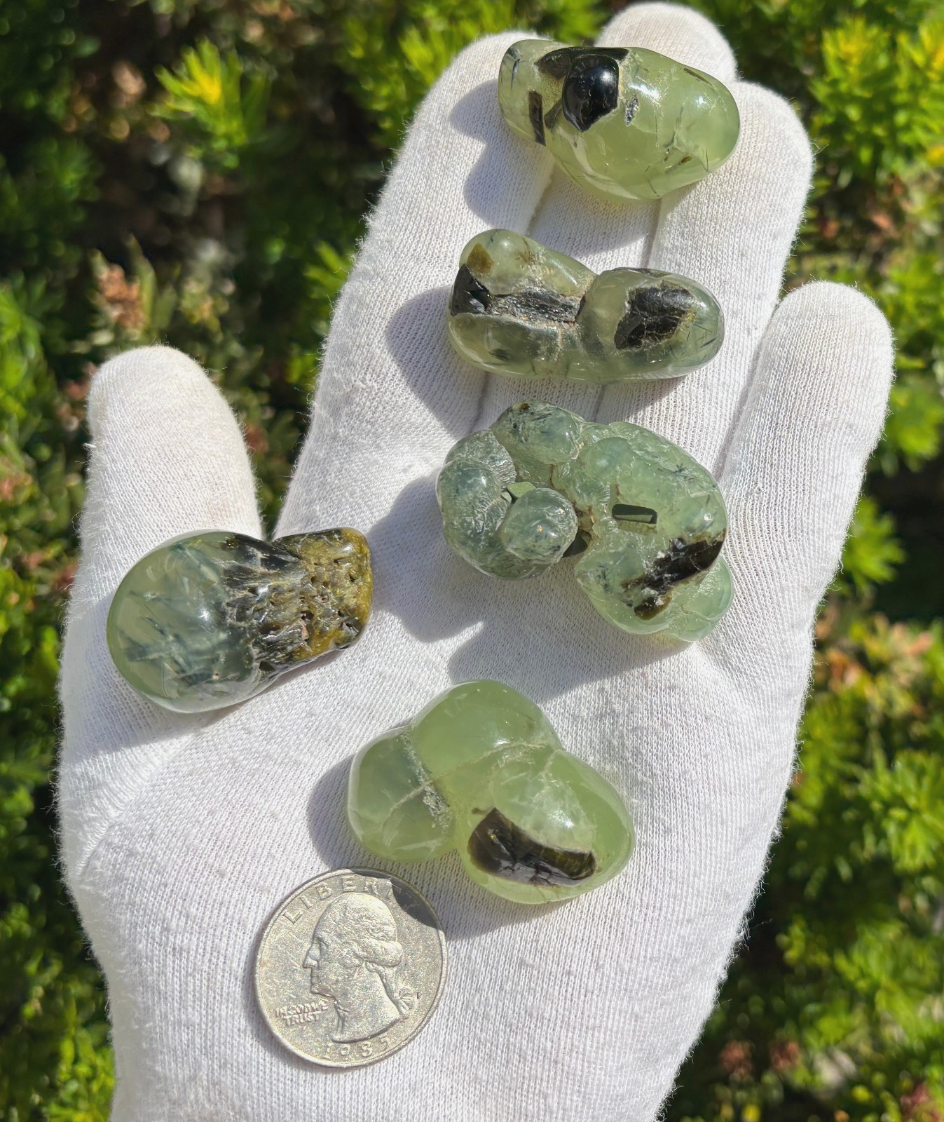 USA SALE 120g LOT 5 PREHNITE & EPIDOTE BOTRYOIDAL TUMBLES TUMBLE STONE STONES