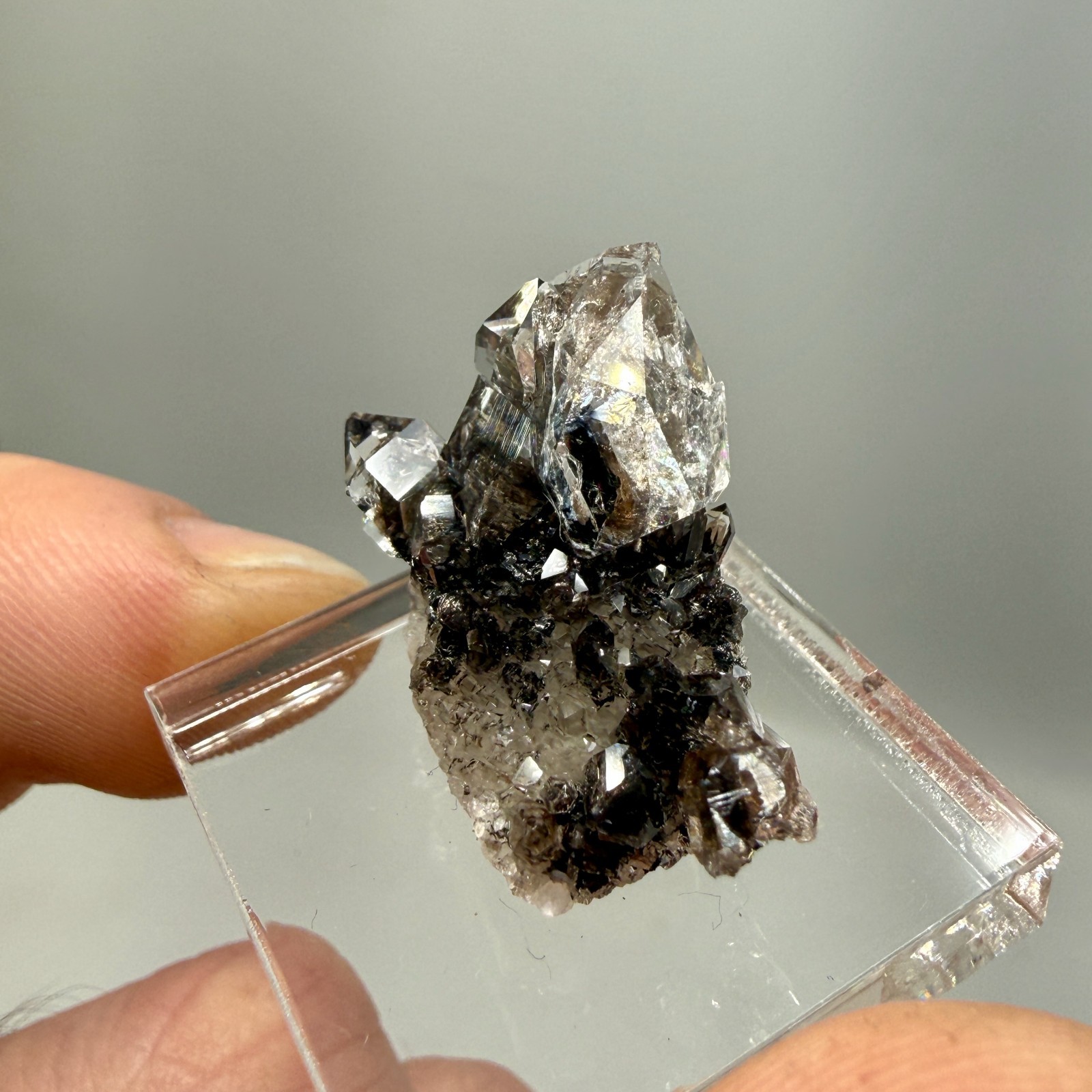 Herkimer Diamond Perchers on Rare Black+Gray Druze, Gem Points w/ Phantoms