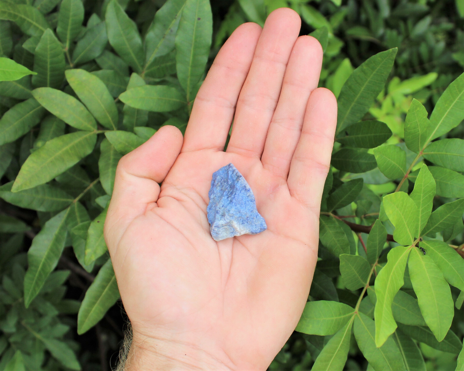 Dumortierite Rough Stones: Choose How Many Pieces (Premium Quality ‘A’ Grade)