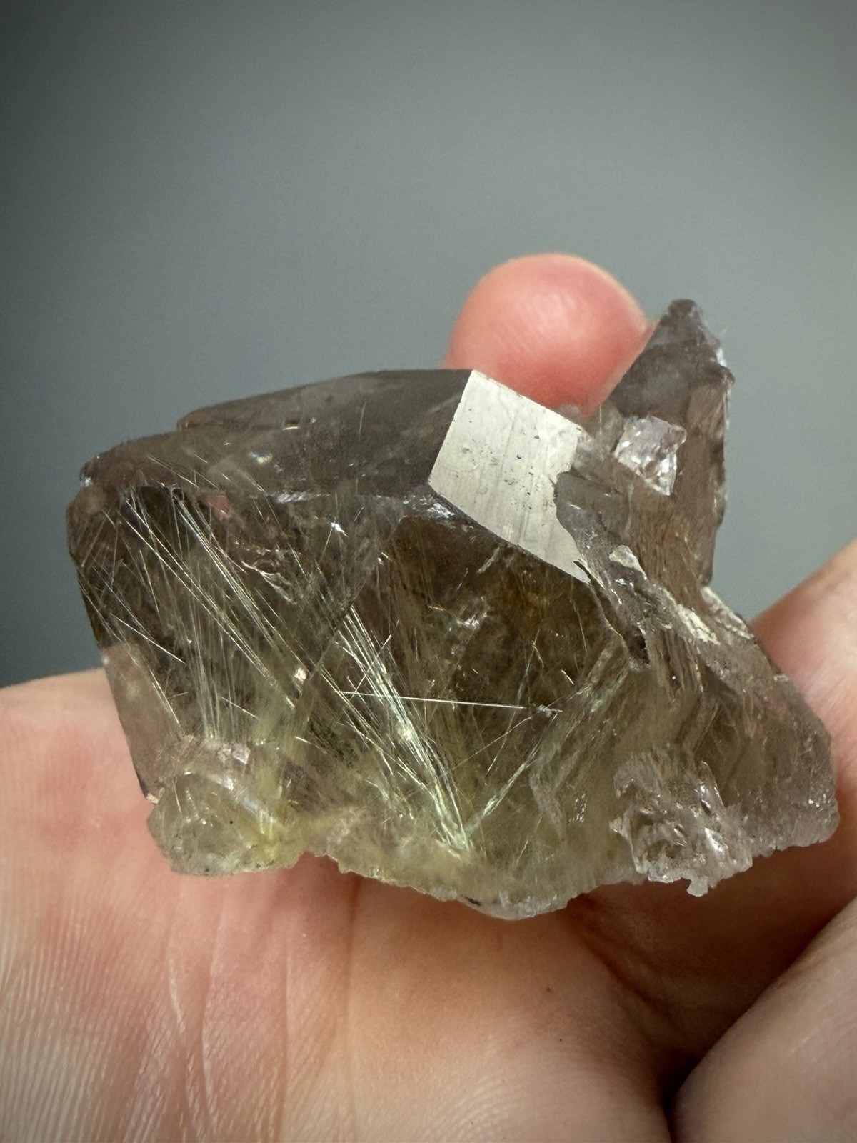 Rutilated Quartz Crystal Gold Rutile Inclusion Quartz Druzy Quartz Brazil