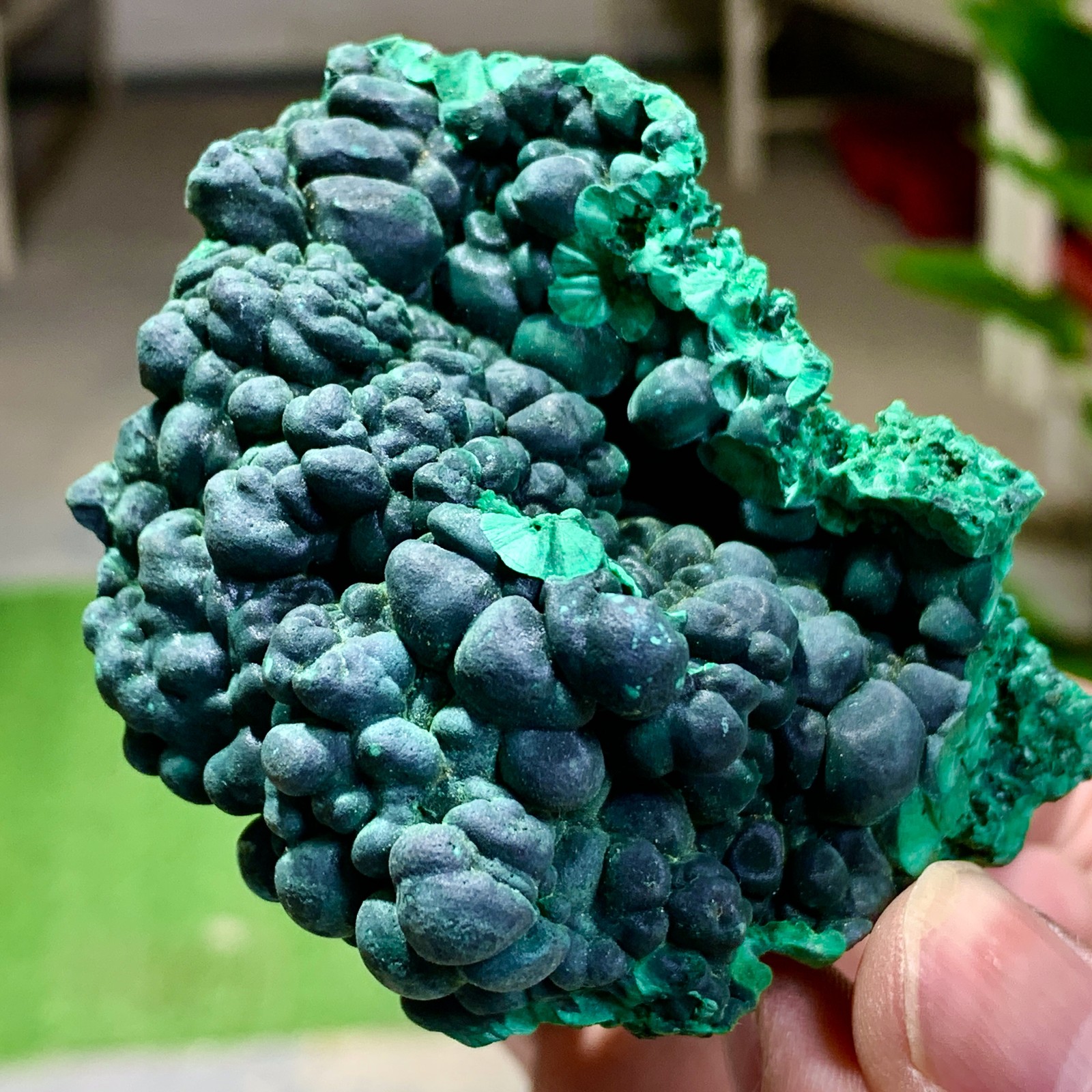 205G Natural glossy malachite cat eye transparent cluster rough mineral Sample
