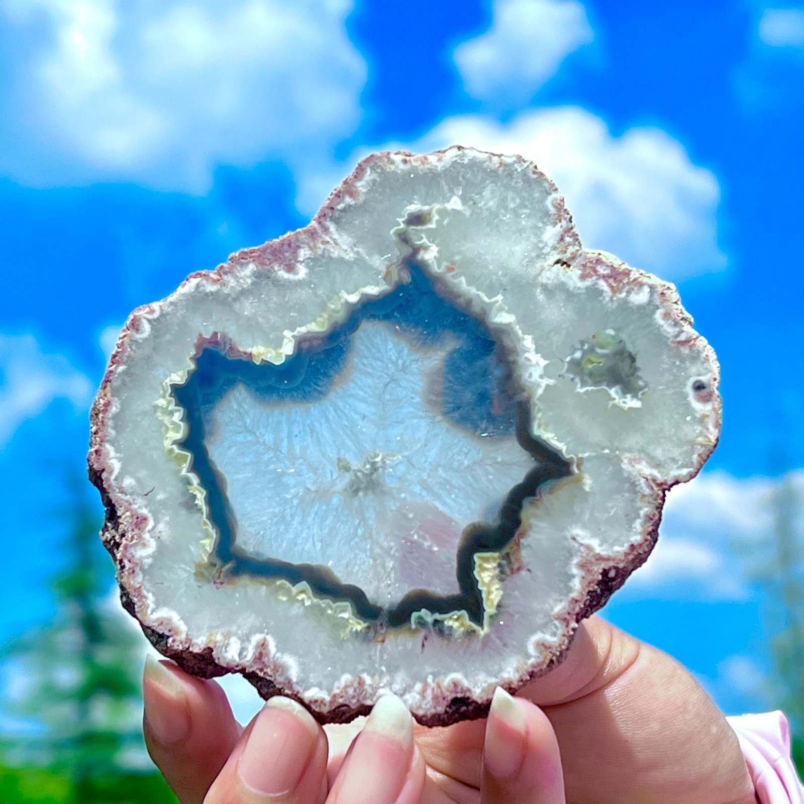 159G Natural Colorful Lace Agate Geode Slice Extra Large Gem From Argentina