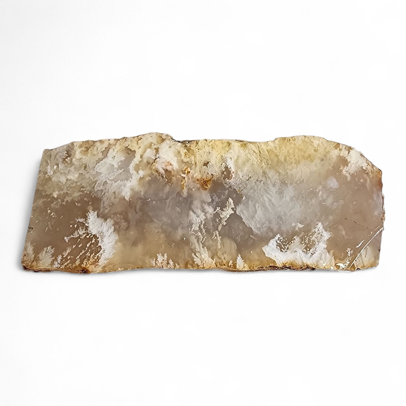 Plume Agate Faced Rough Oregon 178.5 grams.