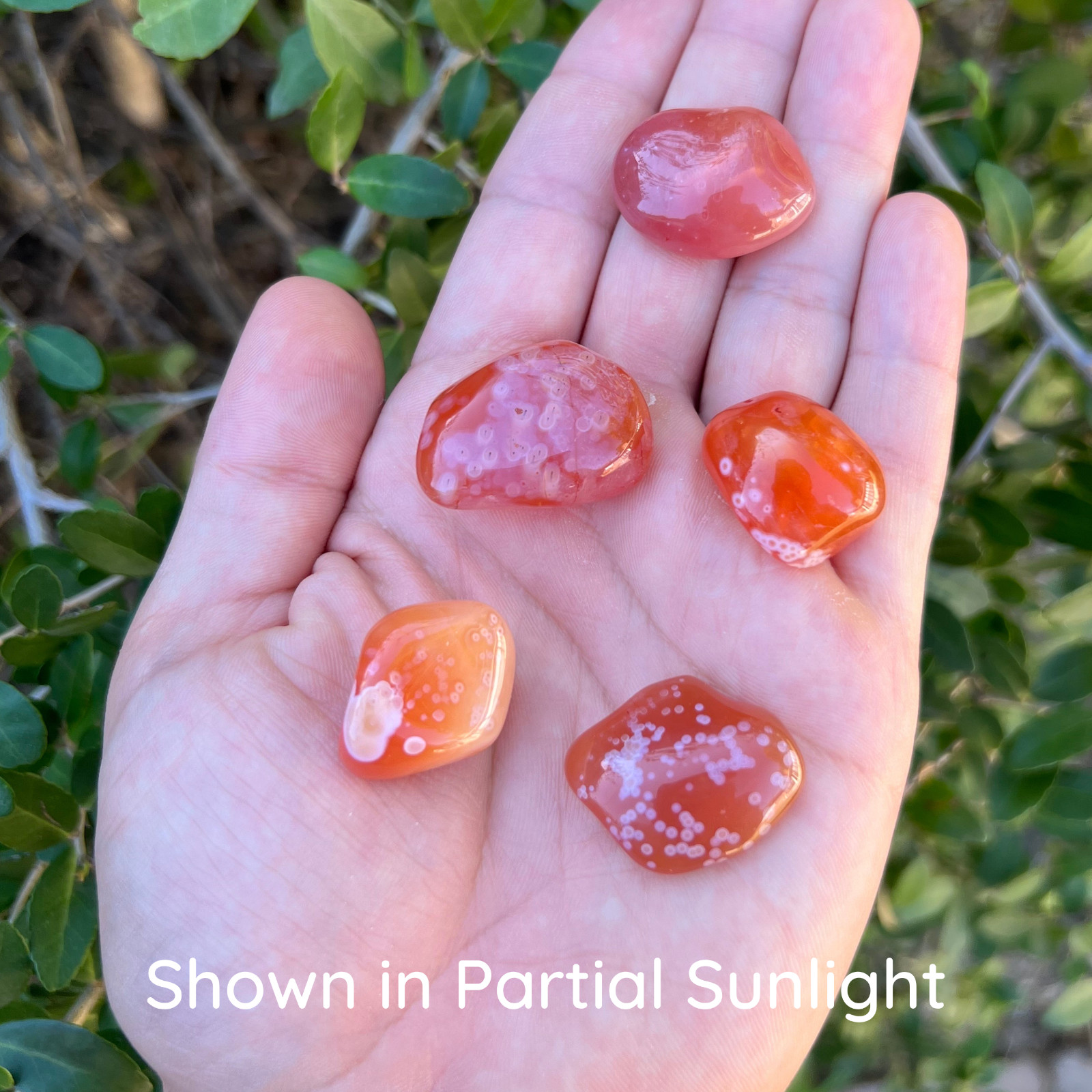 Carnelian “Eye” Agate Tumbled Gemstones – Bulk Wholesale Options – 1 LB