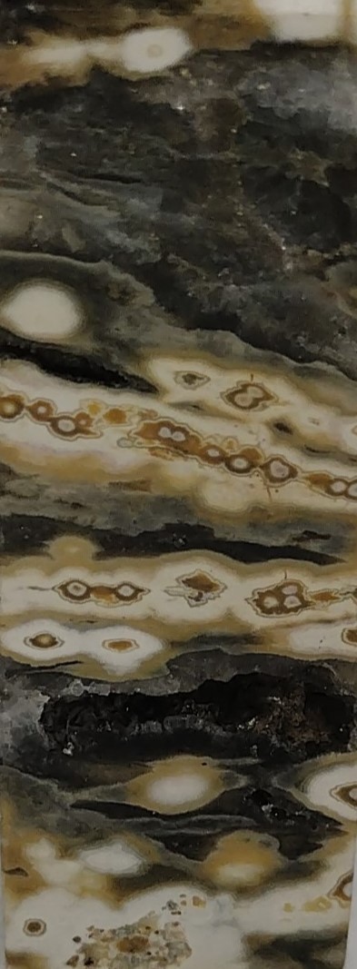 Rare 8 Vein Ocean Jasper Tower 3” 64g Brown White Druzy Orbs Crystal Point (OJ10