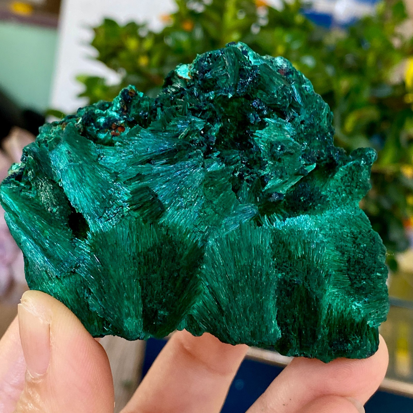 290g Natural Needle shaped feather Malachite stone cluster rough mineral sample