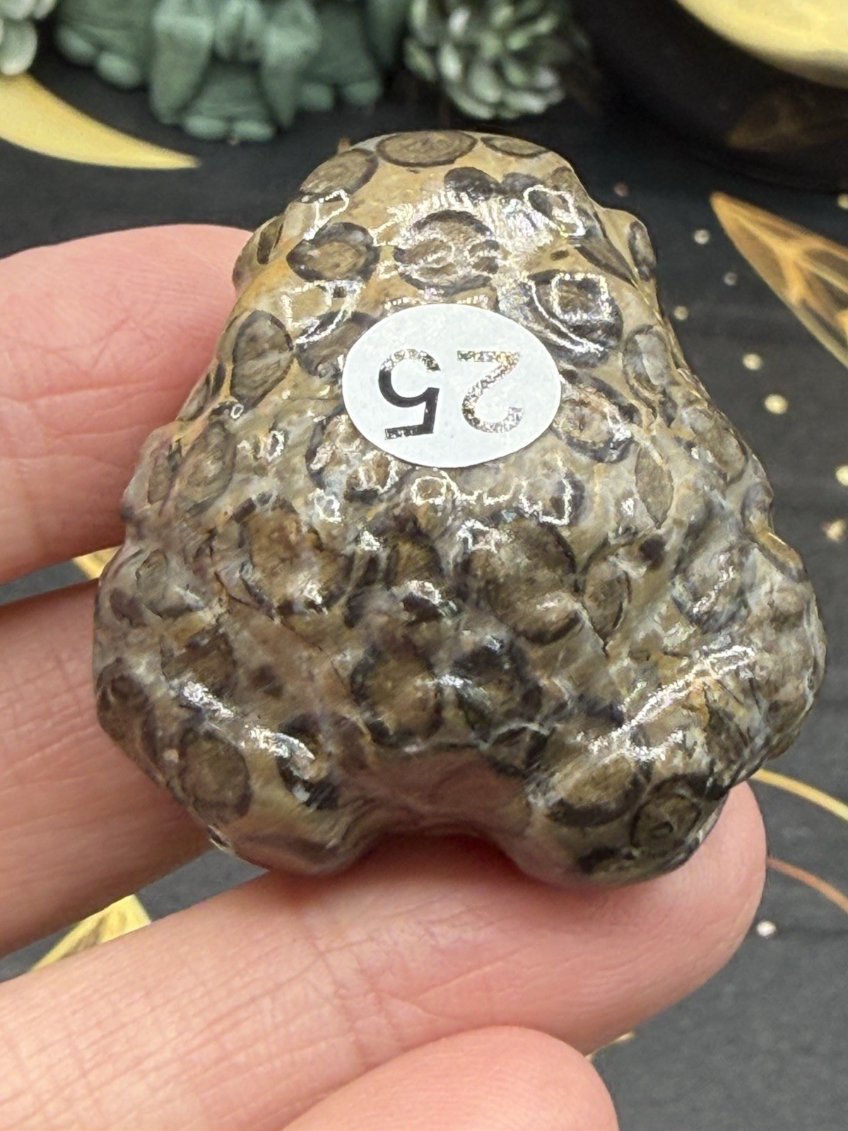 Natural Leopard Skin Japser Baby Toads O.M.G cute & Life like! Free shipping