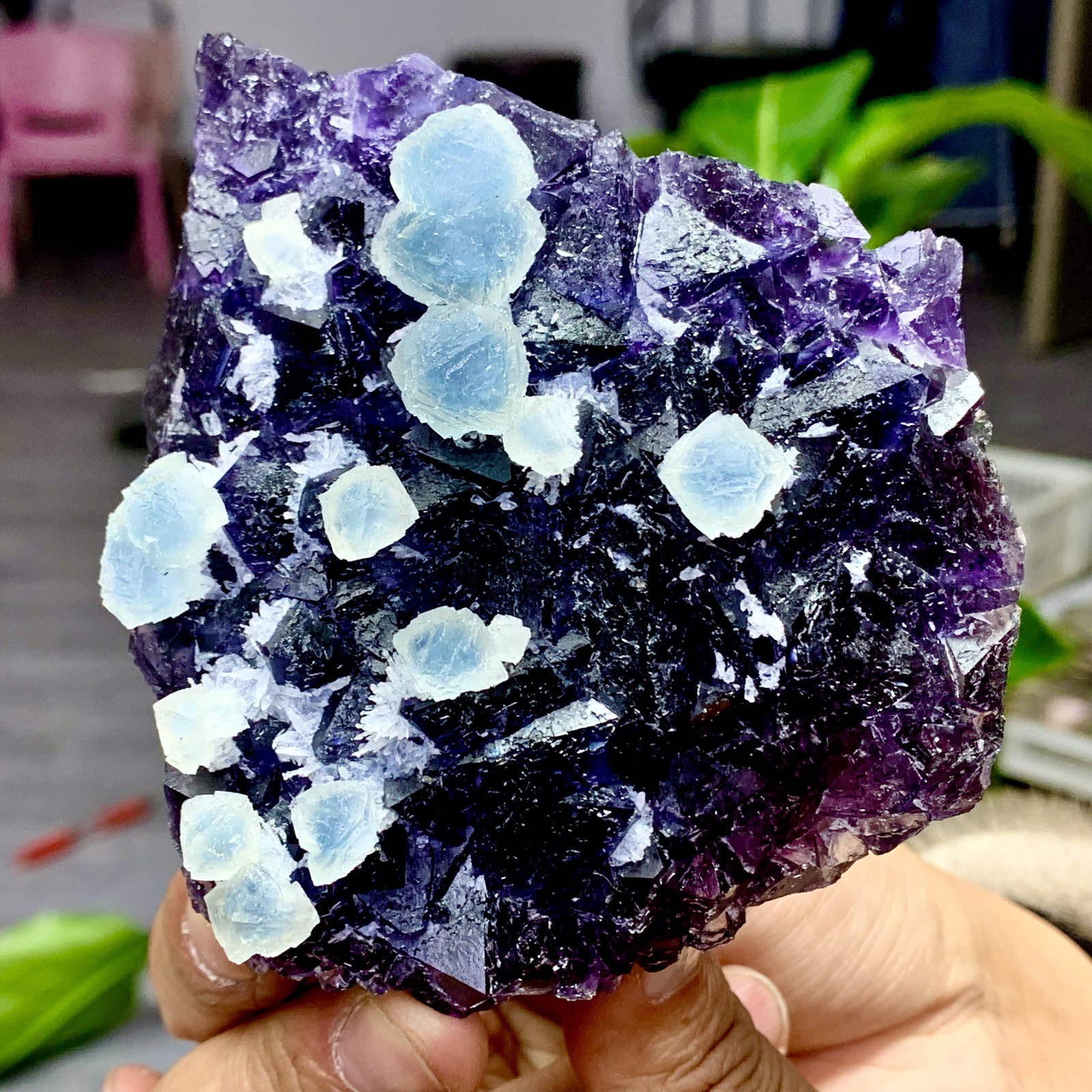 349G Rare Purple Green blue cubic fluorite mineral crystal sample/Zhejiang