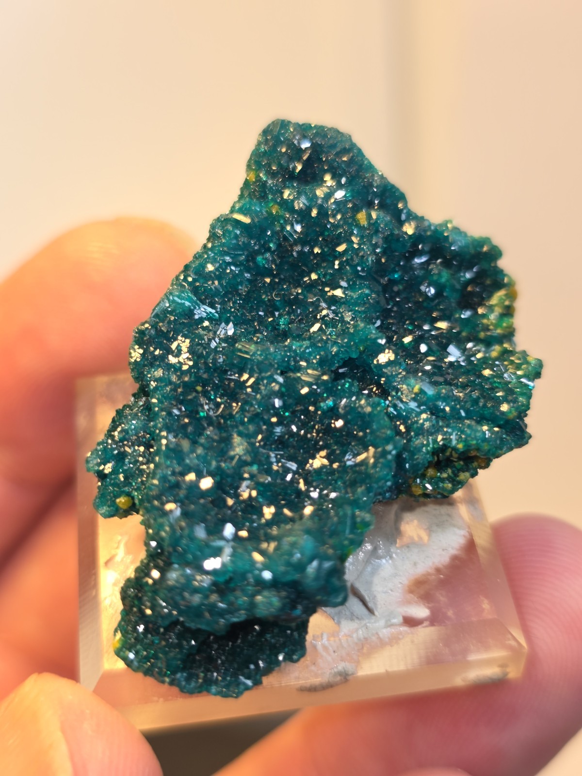 DIOPTASE w/ Wulfinite Crystal Mineral Specimen Cluster Green CONGO AFRICA 4.5 cm