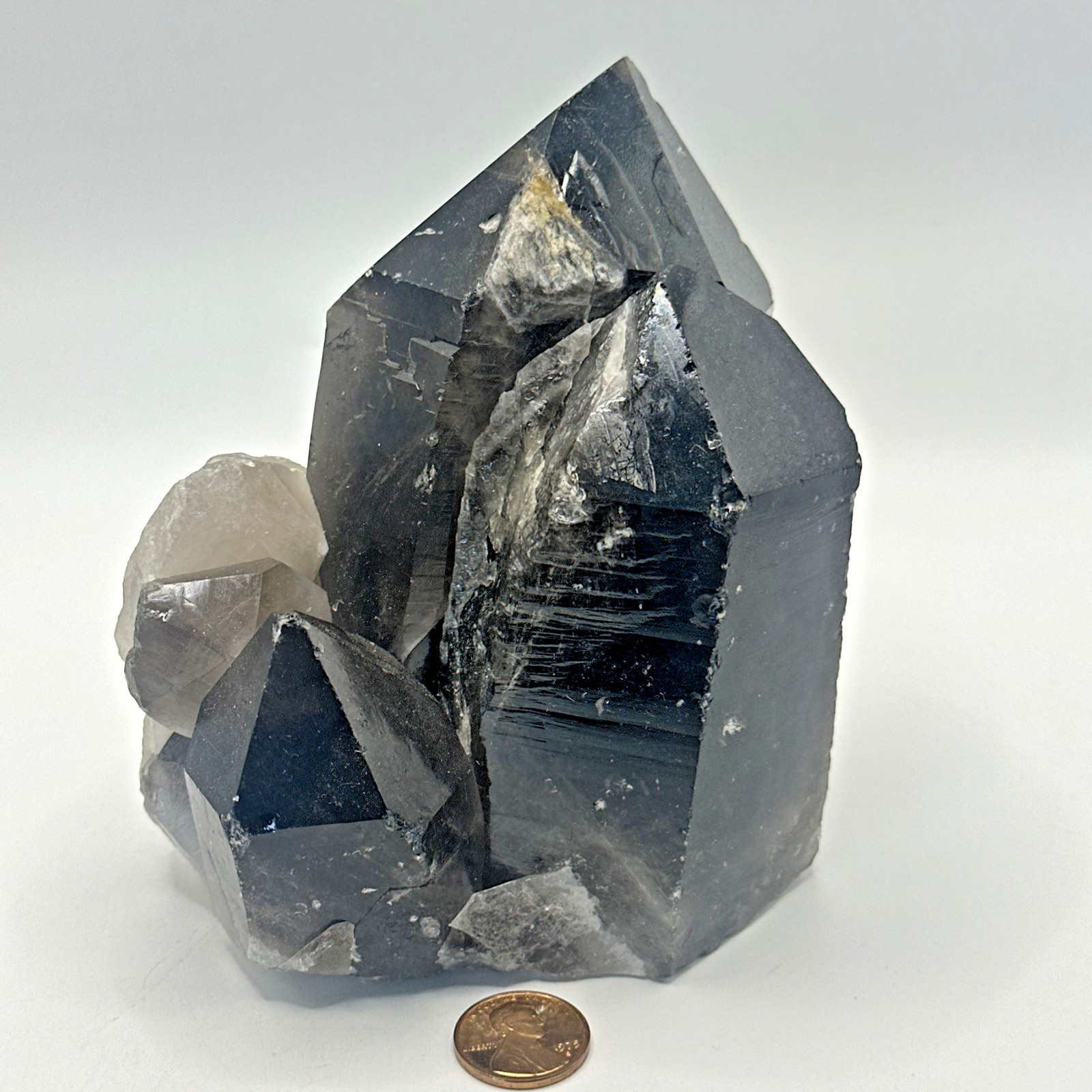 AMAZING Smokey Black Quartz Crystal Cluster Specimen 1203 Grams