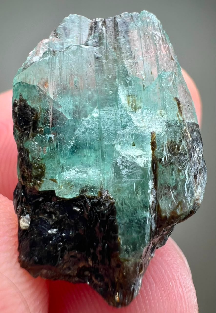 18CT, Beryl Var! Natural Emerald Huge Transparent Crystal on Black Mica ,KPK PAK