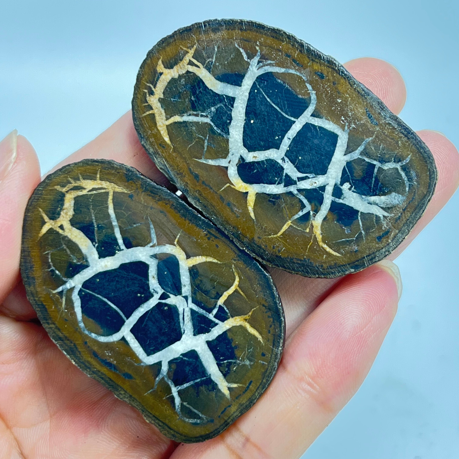 62G Natural Crystal Moroccan Turtle Back Stone Cutting Quartz Energy Spirit