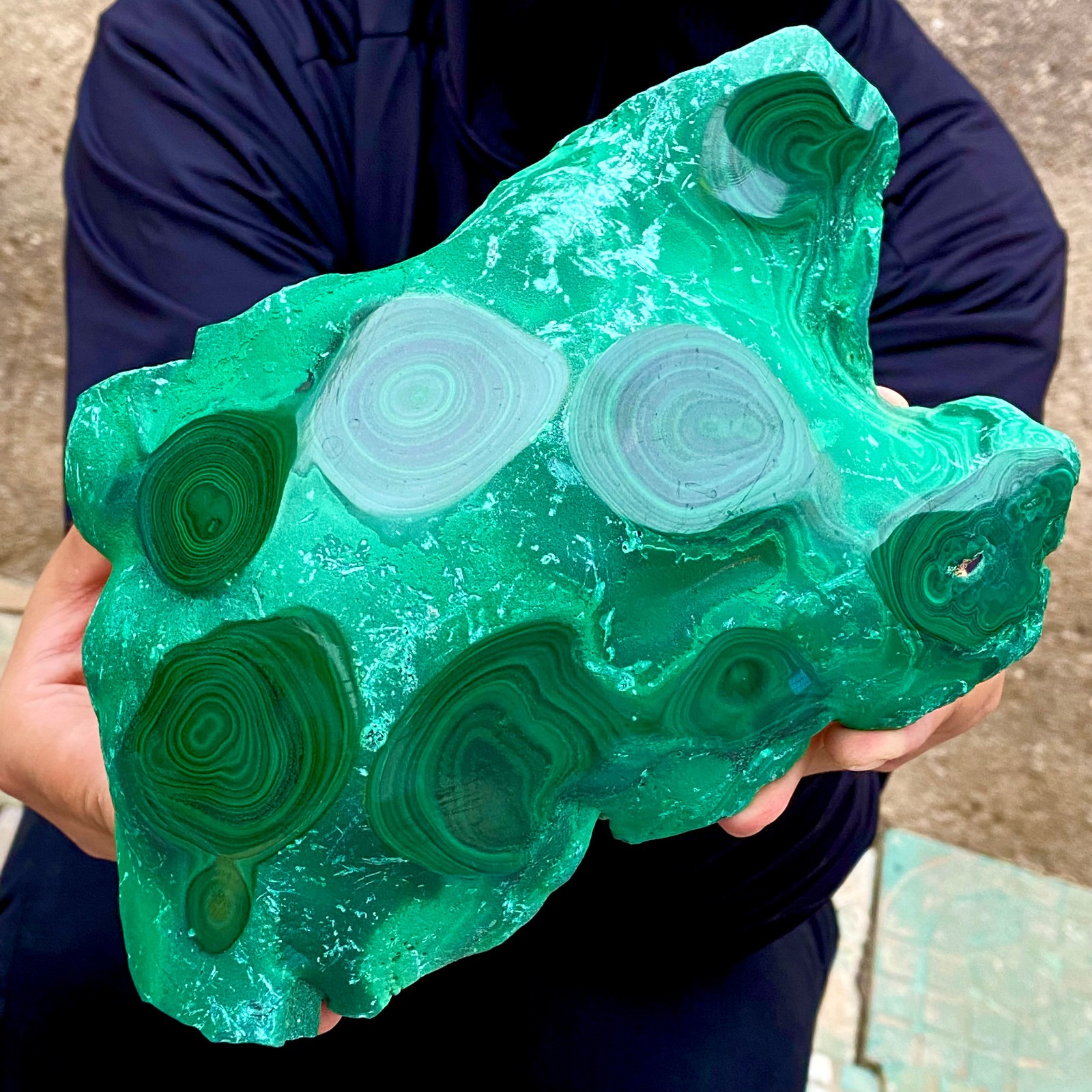 3.2LB Natural tortoise Malachite transparent cluster coarse mineral sample