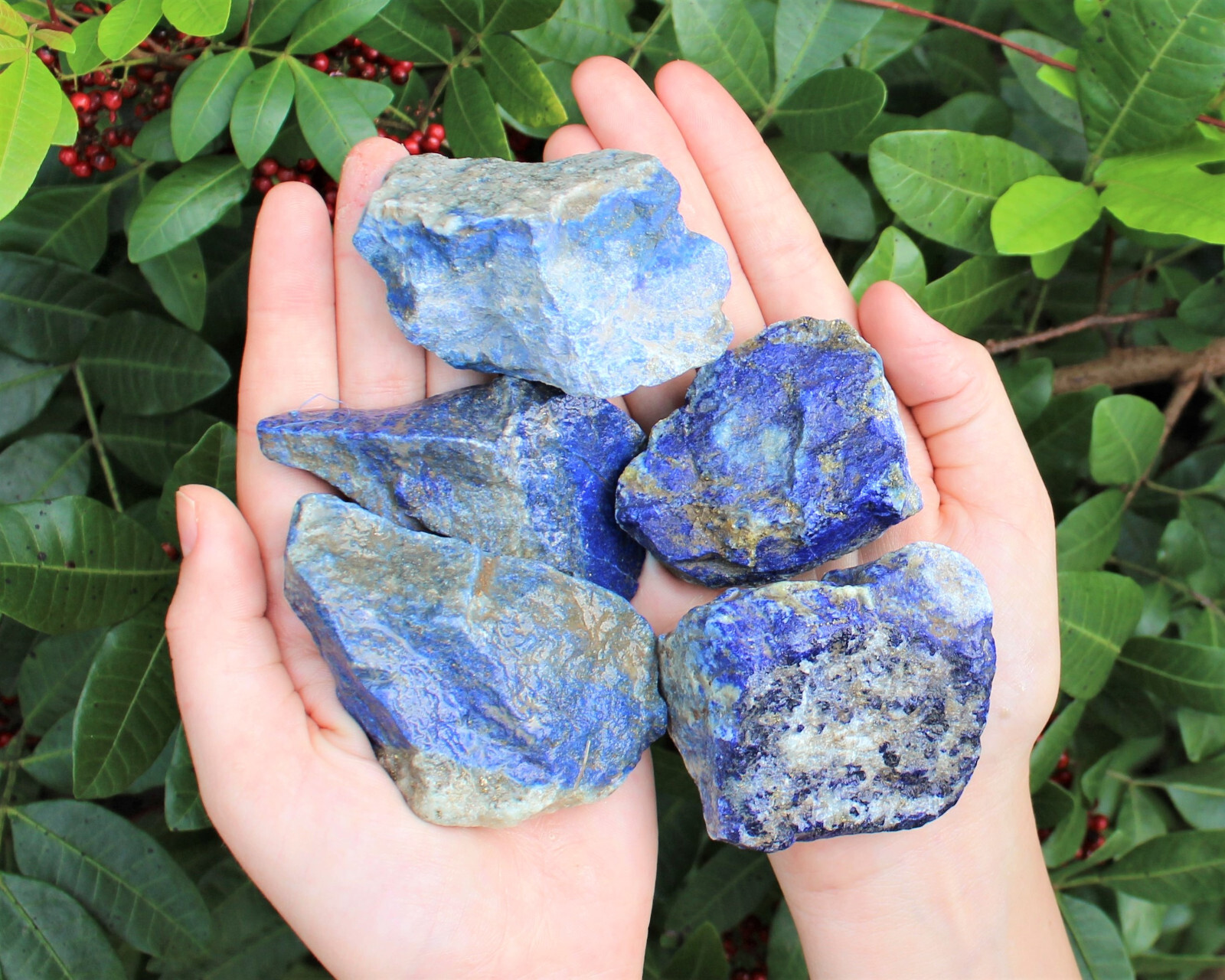 LARGE Rough Lapis Lazuli Chunks, 2″ – 3″ (Blue Raw Crystal Gemstone Specimen)