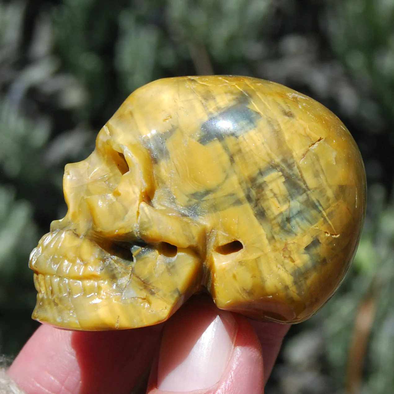 2in Flashy Nellite Pietersite Carved Crystal Skull, Realistic Nielit Gemstone Ca