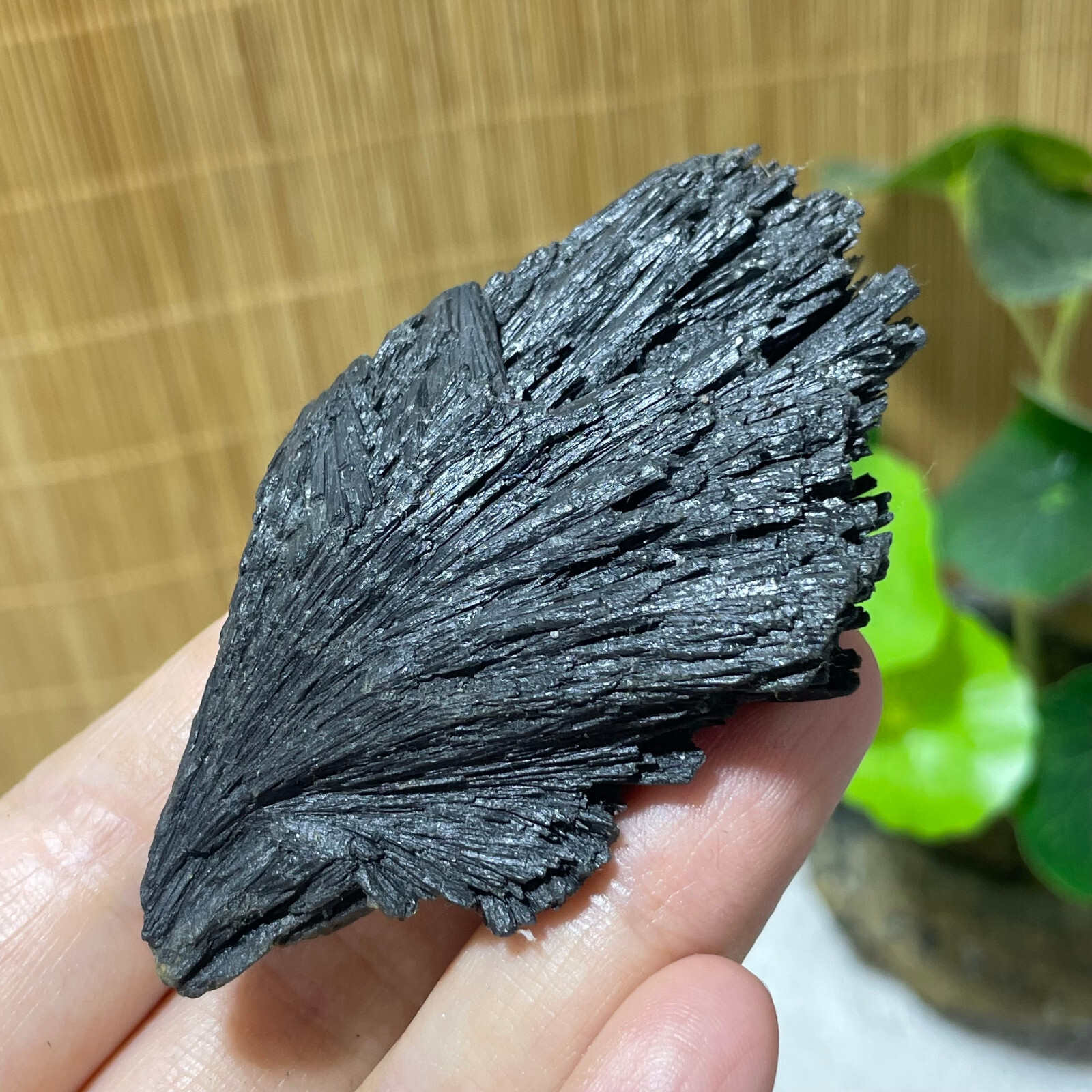 64g Natural Irregular natural black crystal cluster mineral specimen（dian qishi）