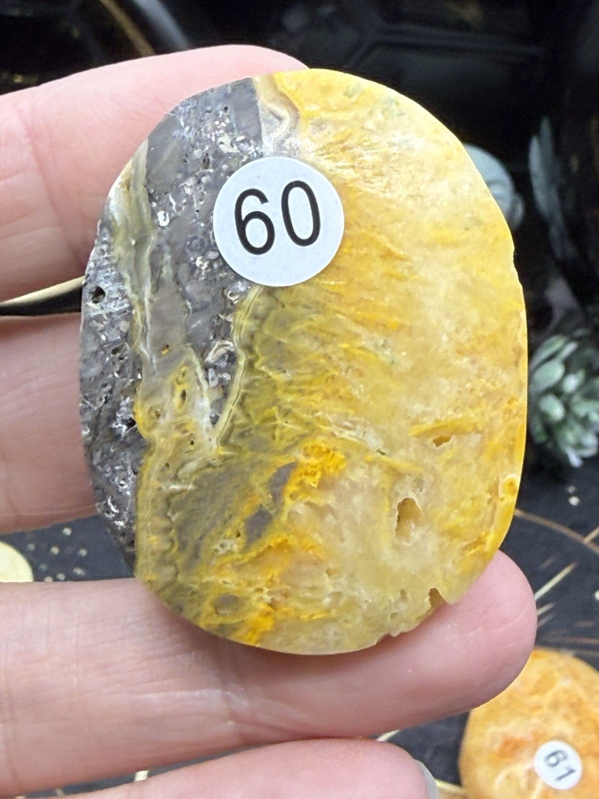 Natural Bumblebee Jasper Palms Druze vugs raw Free shipping
