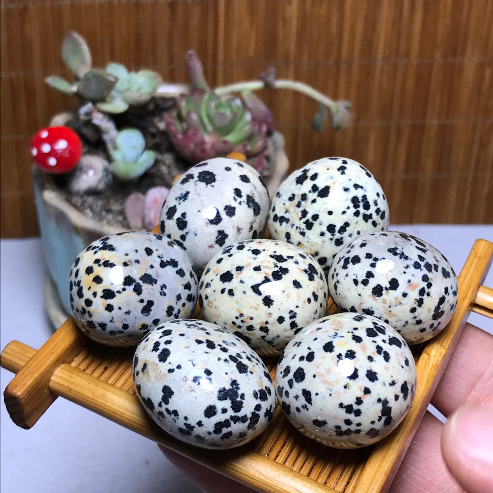 25-22-22mm 7Pcs Natural spotted stone Crystal gemstone Mineral Specimen A4408