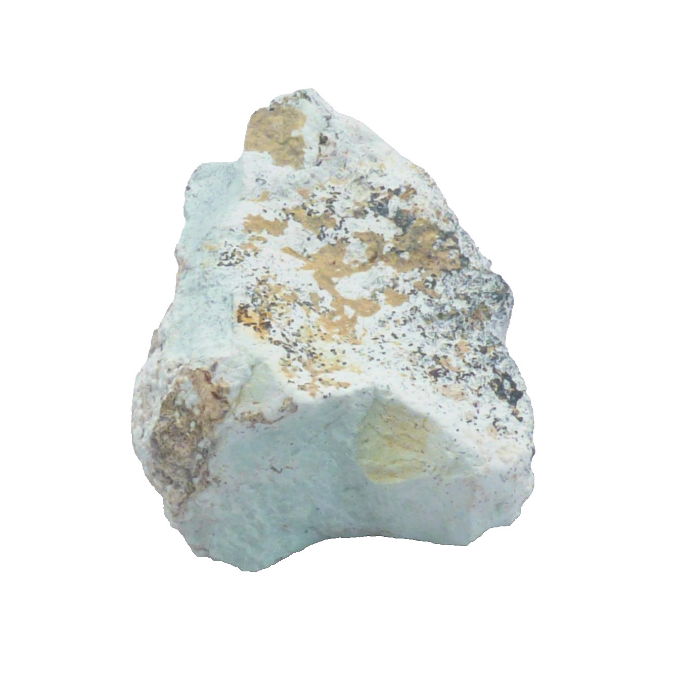 Solid Turquoise Mineral Specimen Island Park Idaho Natural Unpolished 4cm 19g