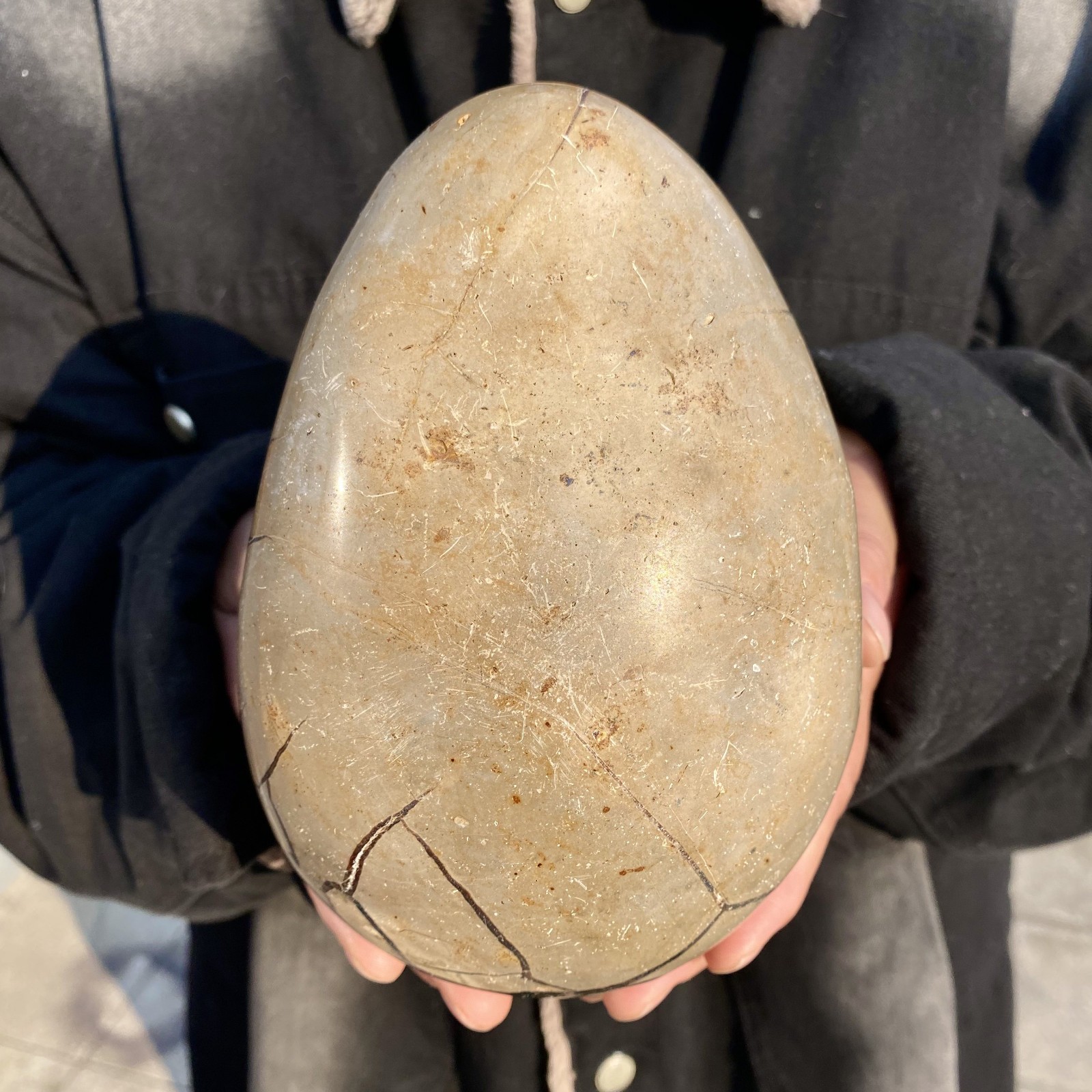 5.2LB natural turtle shell stone egg spiritual healing