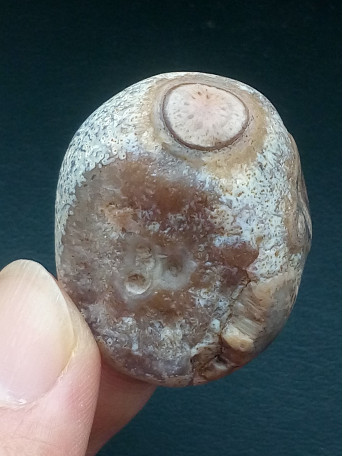 36mm Natural Gobi Agate eye agate collection