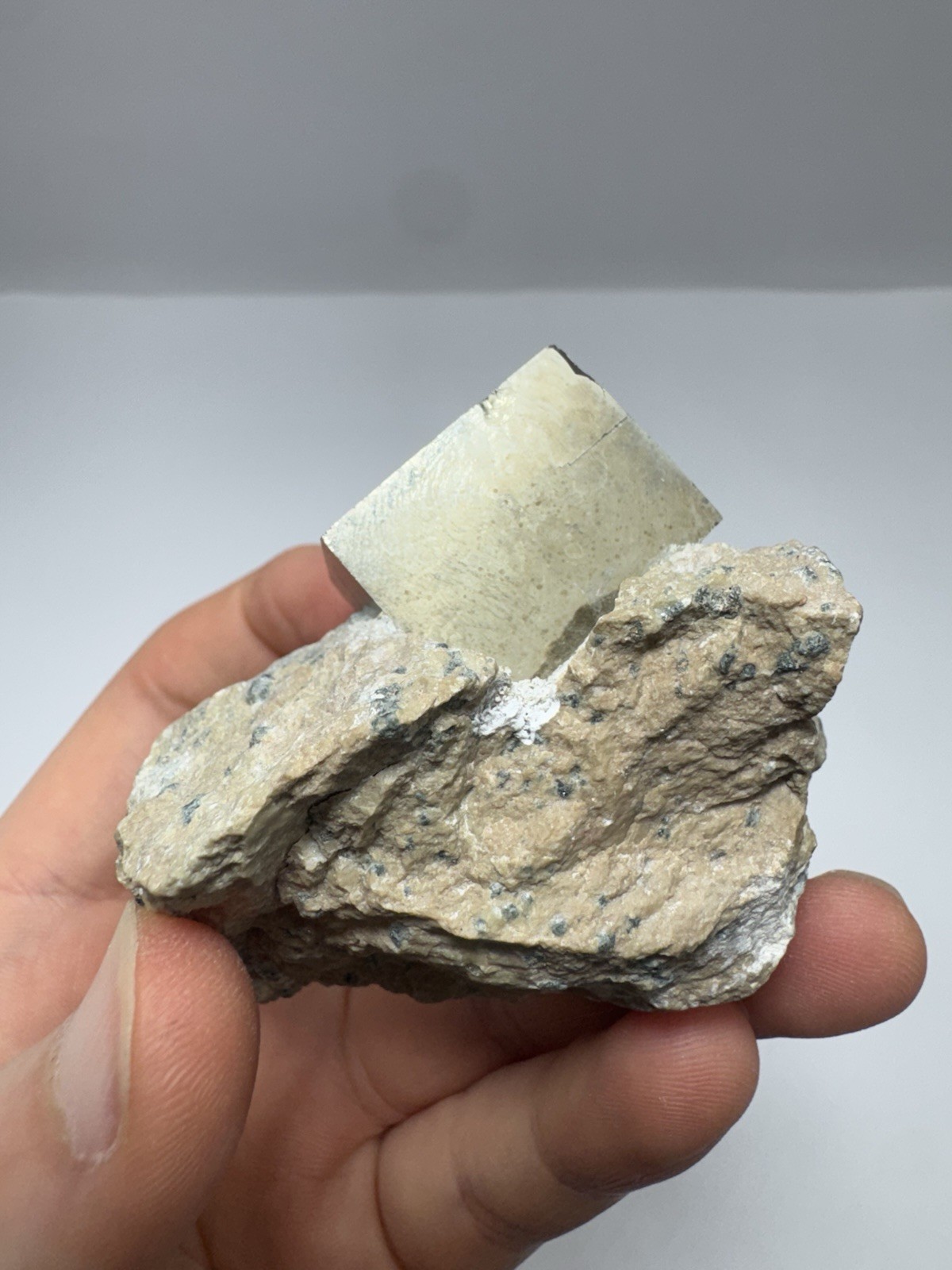 Natural Pyrite Cube on Matrix from Europe byzkt
