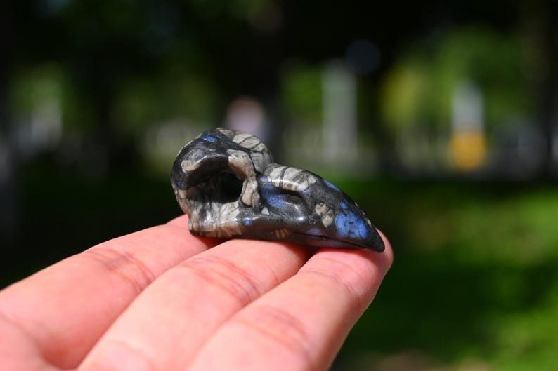 1.6″ Natural Quartz crow skull Carved Reiki Crystal decor 1pc(Random Delivery)