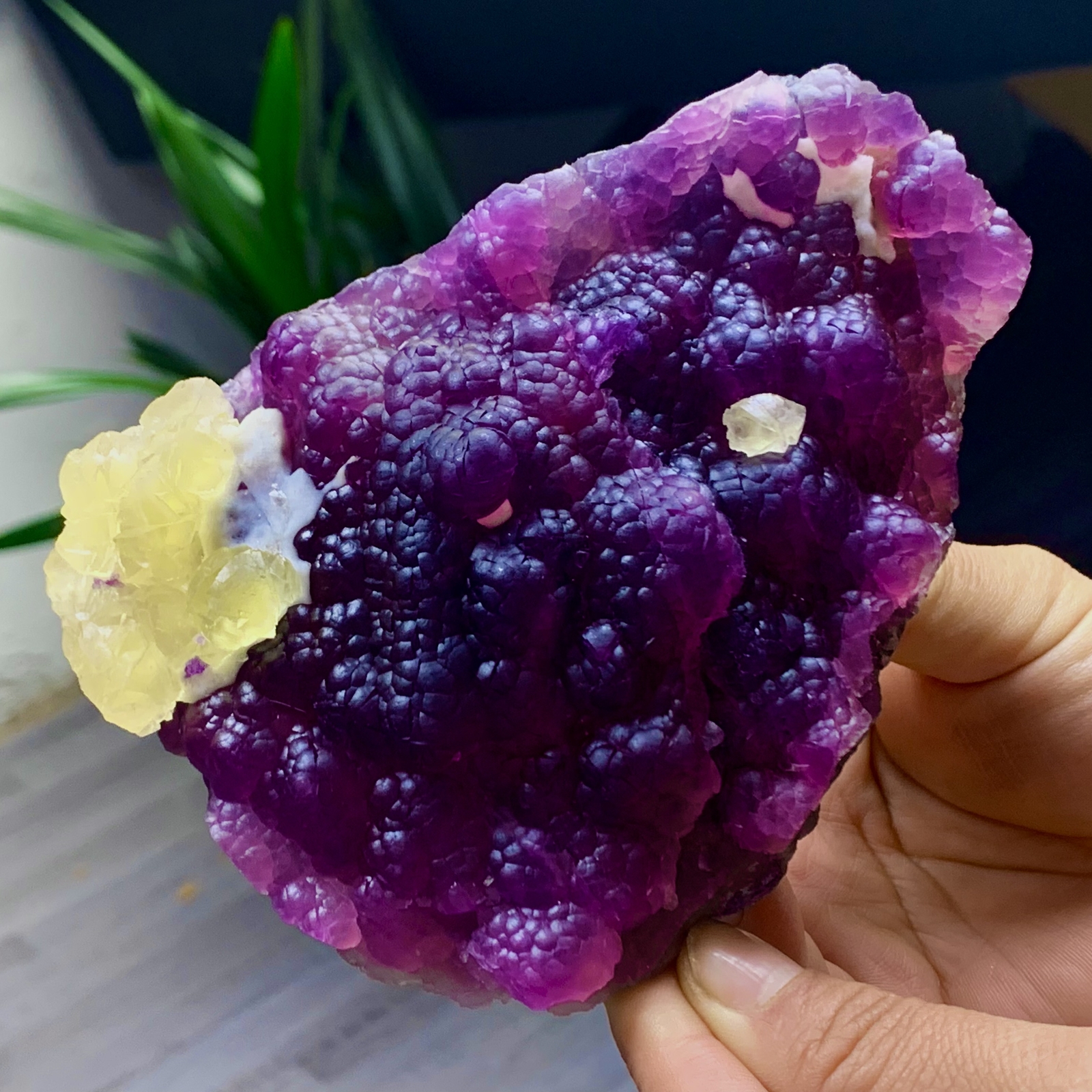 2.40LB Complete rare and gorgeous purple fluorite from Inner Mongolia, China