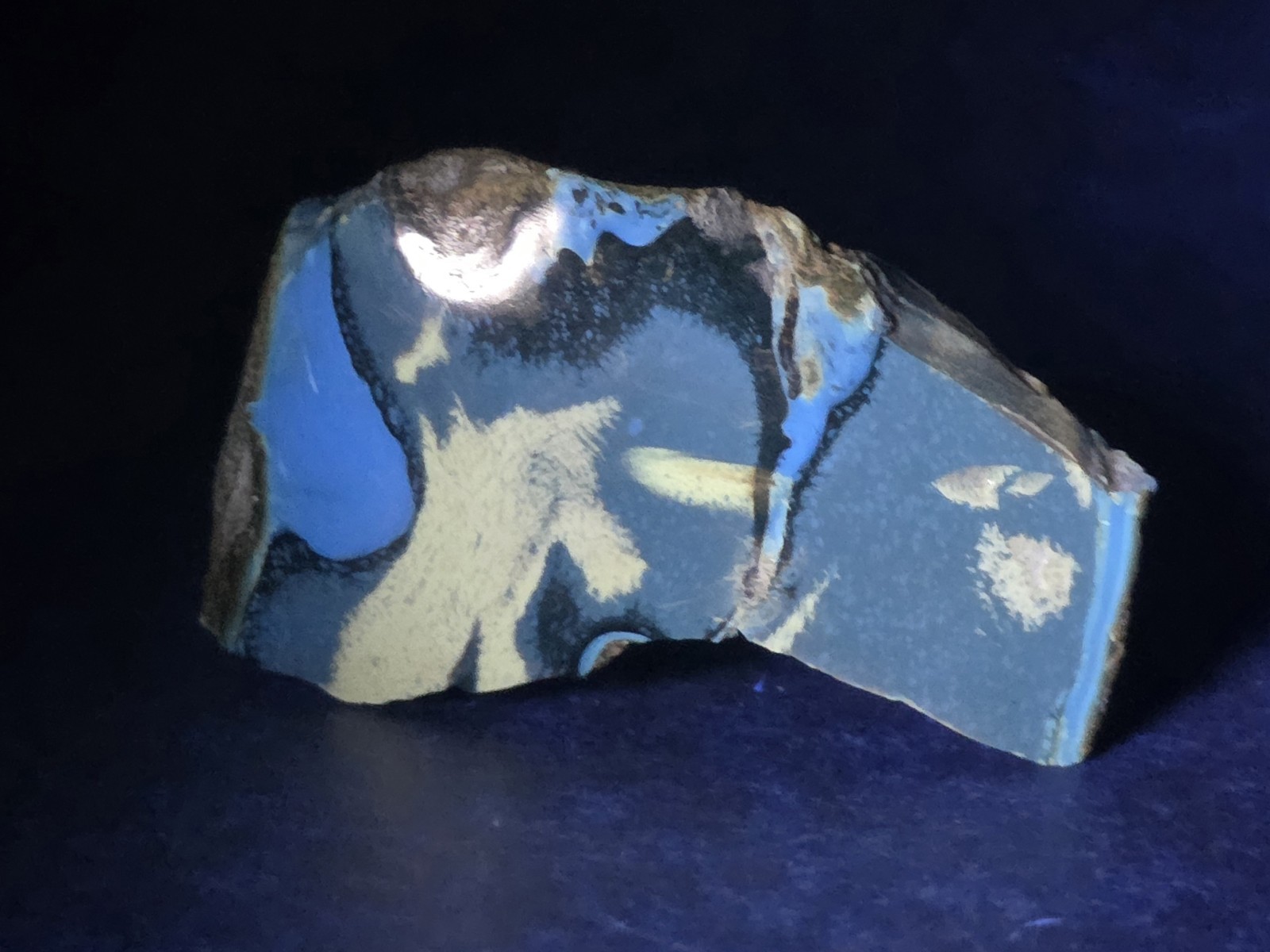 Polished Blue Amber | UV Reactive Amber Indonesia B116