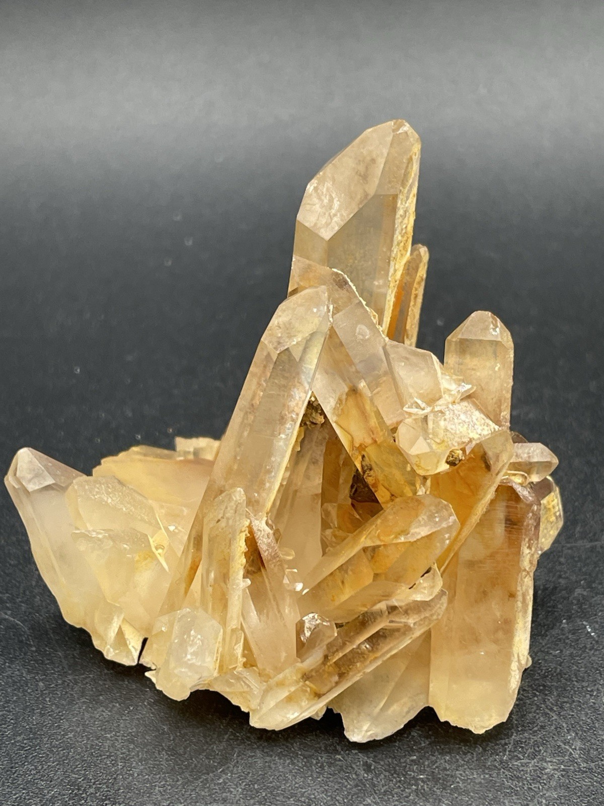 Golden Healer Cluster 73g