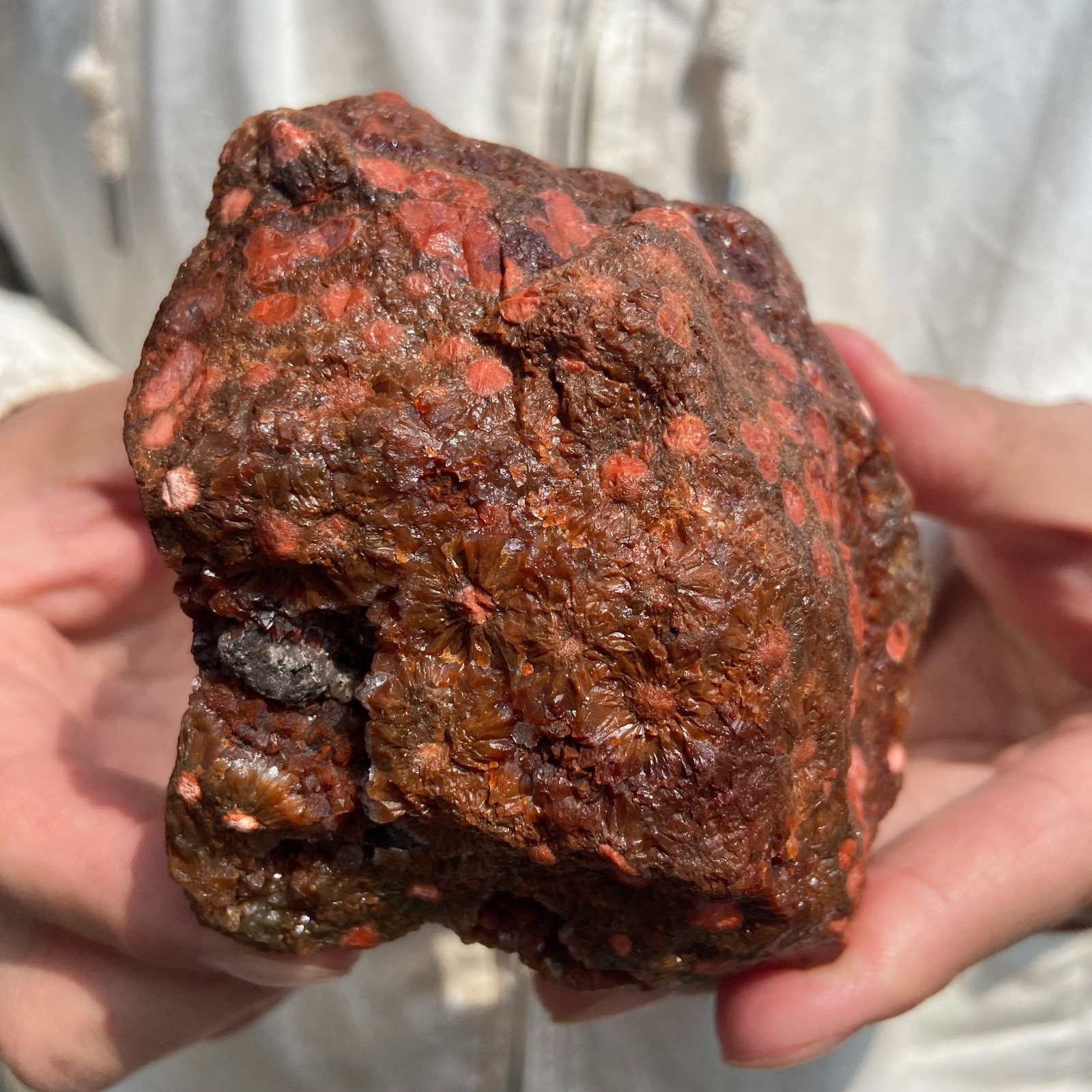 1.4lb Natural colourful ocean jasper raw stone crystal rough mineral specimen
