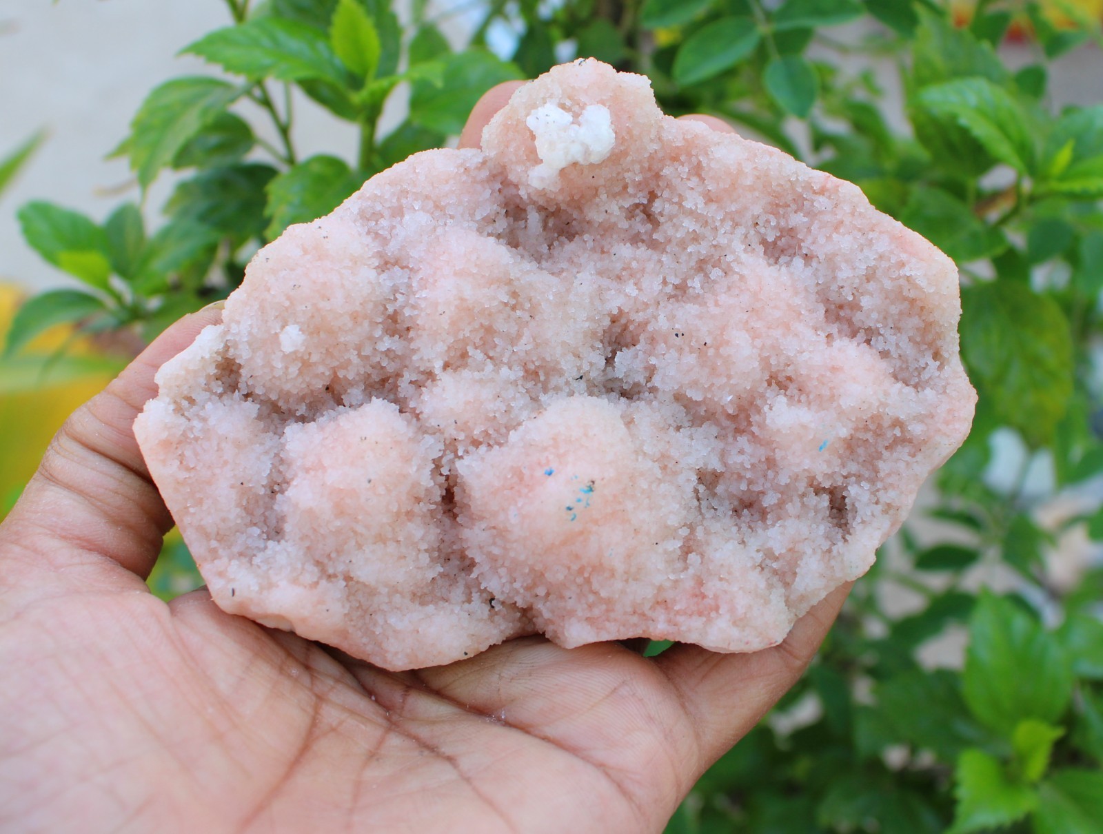 chalcedony coral on matrix minerals specimen #A43