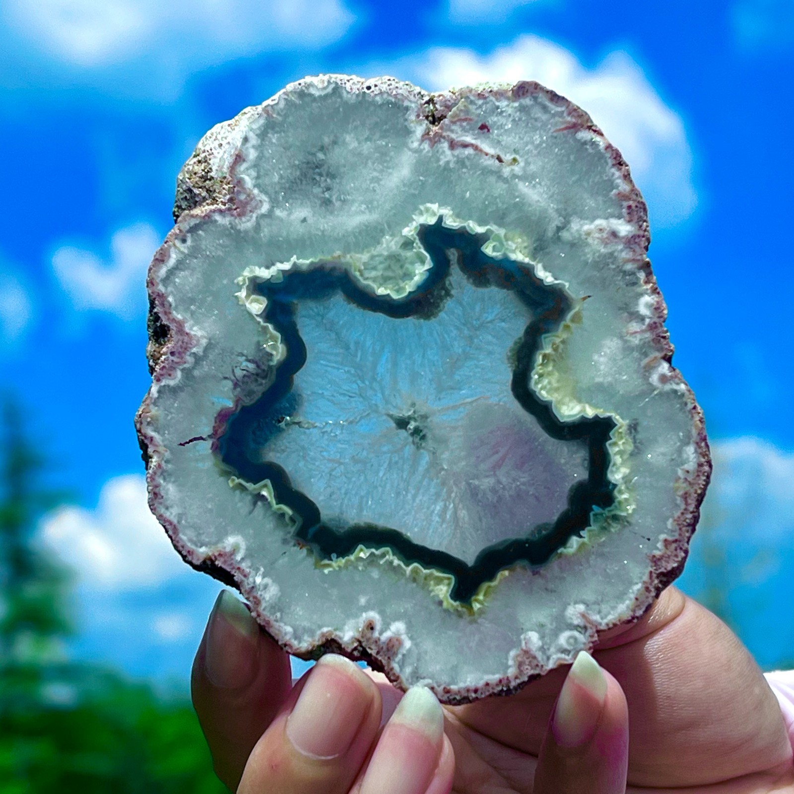 159G Natural Colorful Lace Agate Geode Slice Extra Large Gem From Argentina