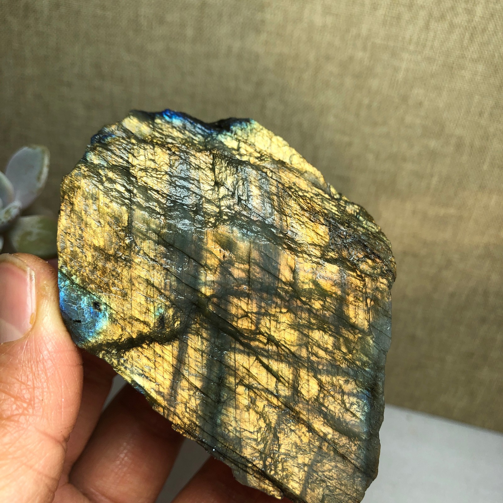 65mm Natural Labradorite Crystal gemstone rough original Specimen 205g A2631