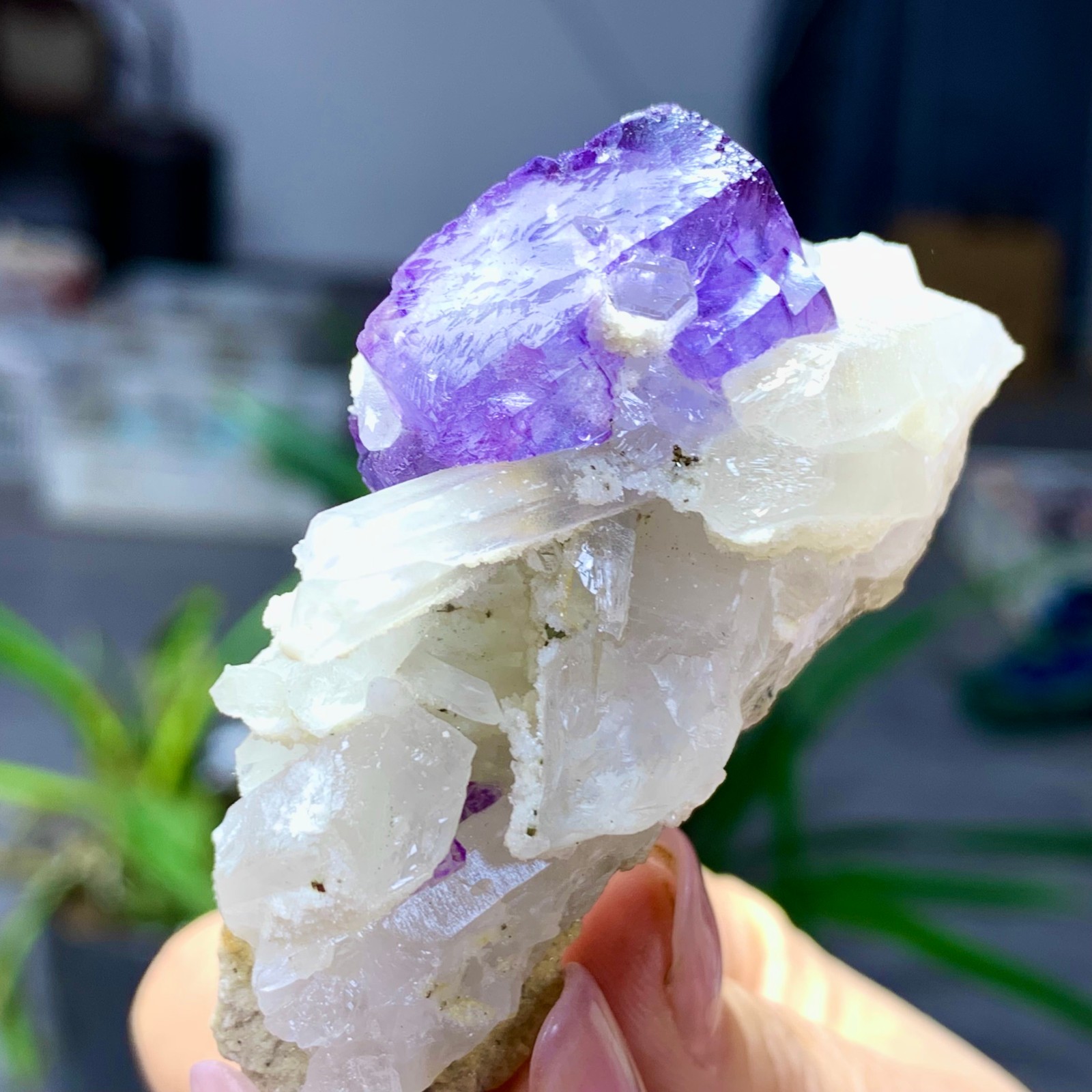 50G Natural transparent purple fluorite coexists with white crystal/Yaogangxian