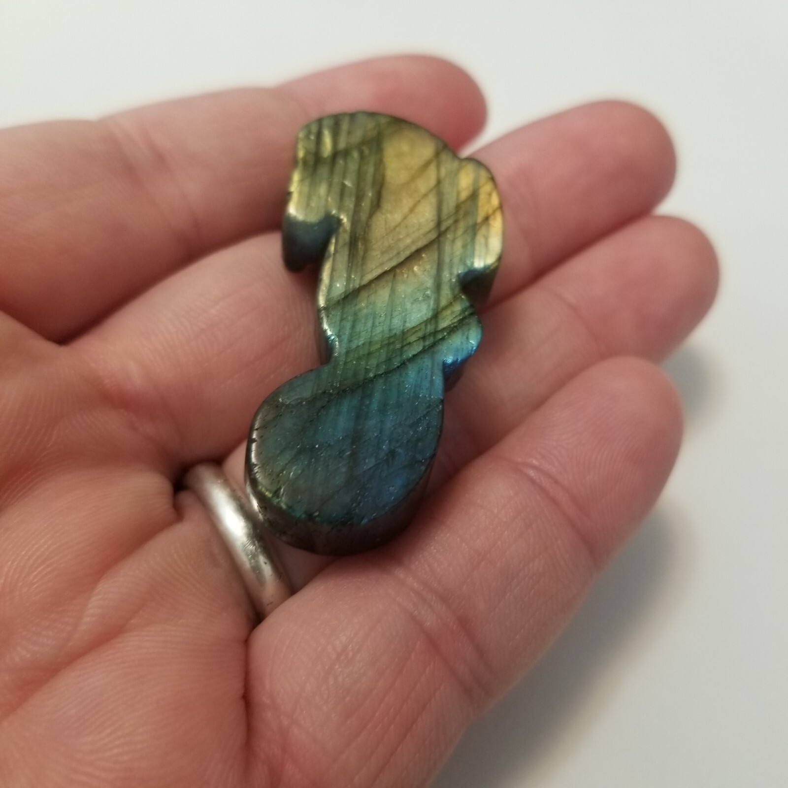 2″ Labradorite Seahorse Figurine Carving Specimen Rocks Crystal