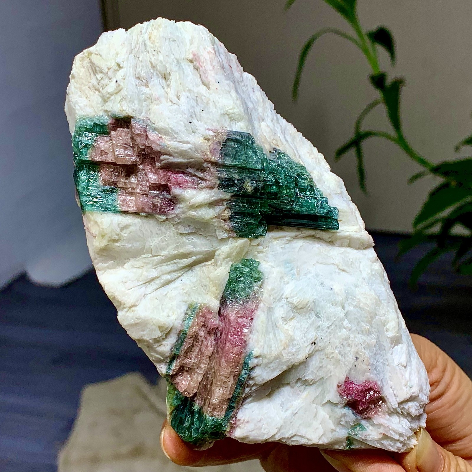 449G Natural pink-green tourmaline quartz crystal cluster mineral specimen