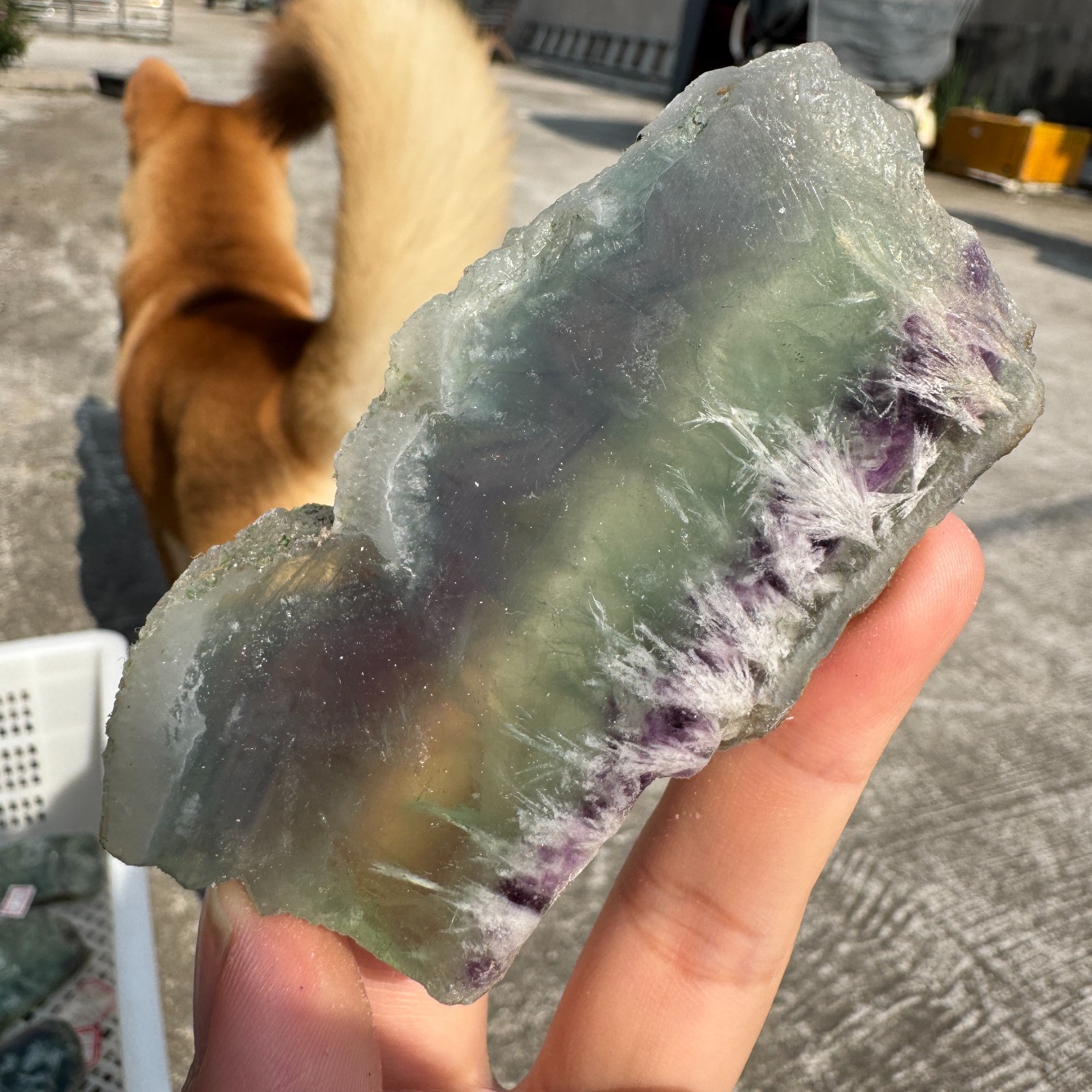 100G Natural feather fluorite crystal slice rough quartz crystal specimen healin