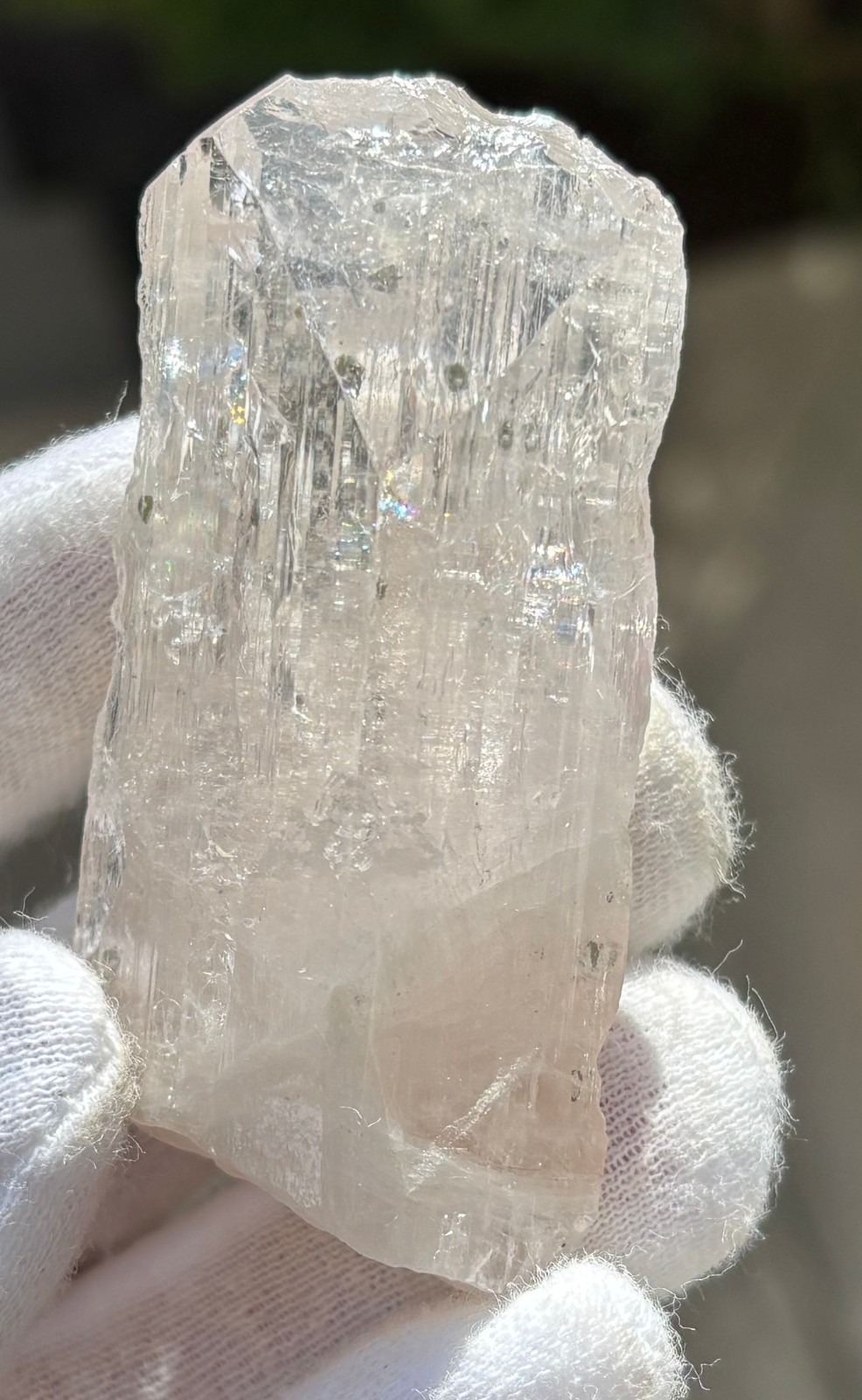 USA SALE *SEE VIDEO* 50g 2.5″ DANBURITE CRYSTAL SPECIMEN CLEAR CLARITY ETCHED